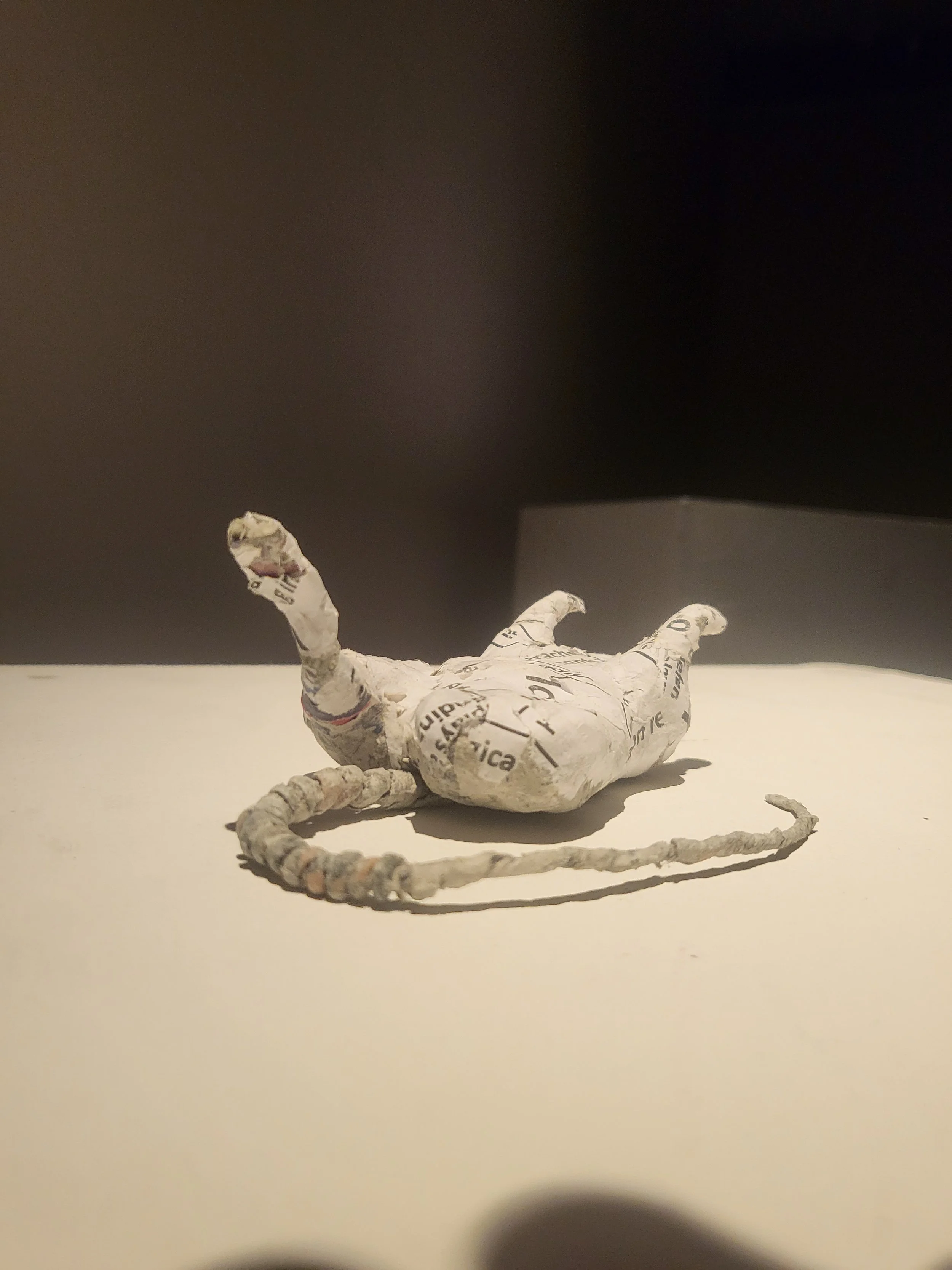 Papier Mache rat made from lab manual of an experiment using rat tissue.