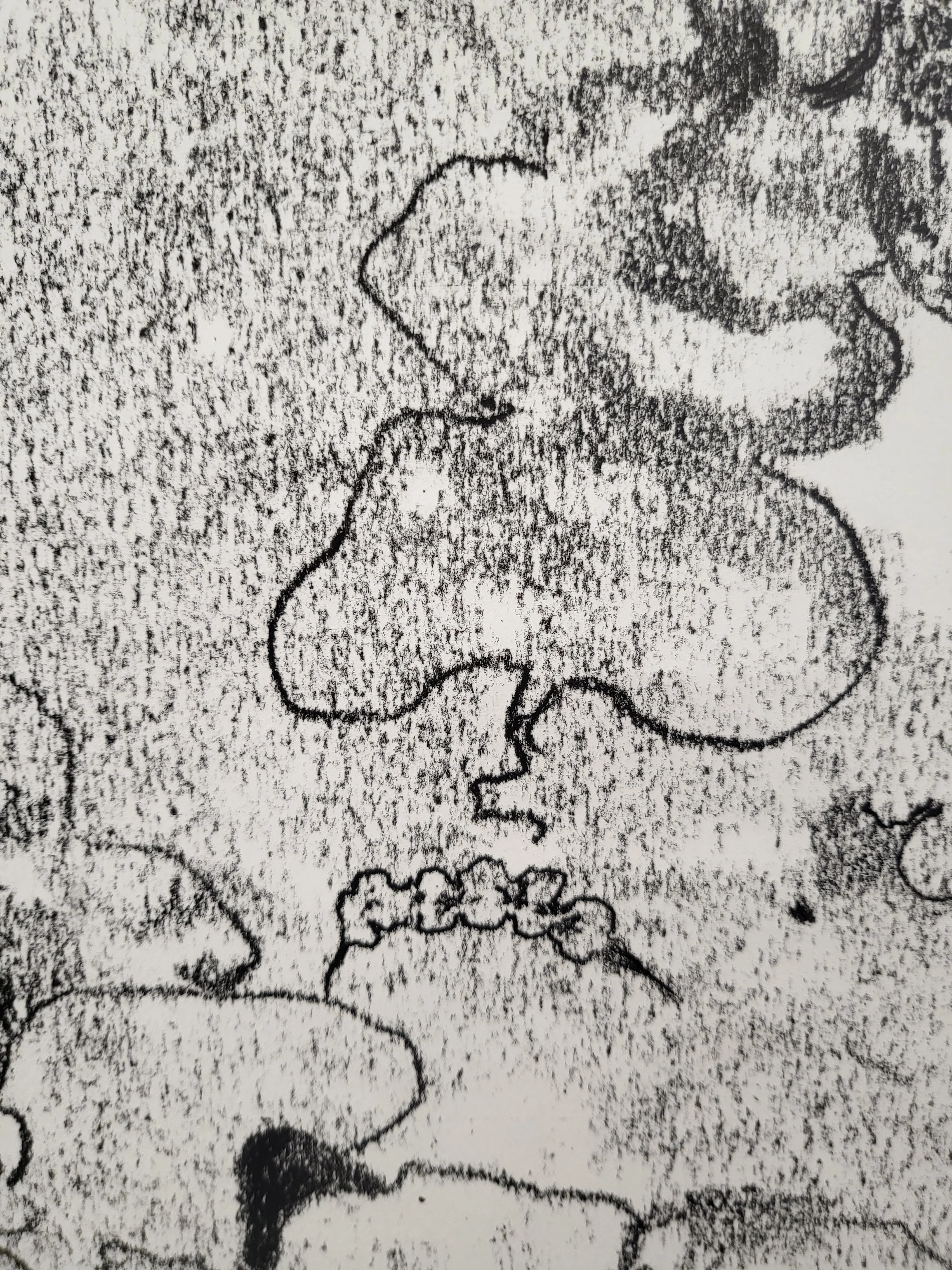20260813_162514.jpg