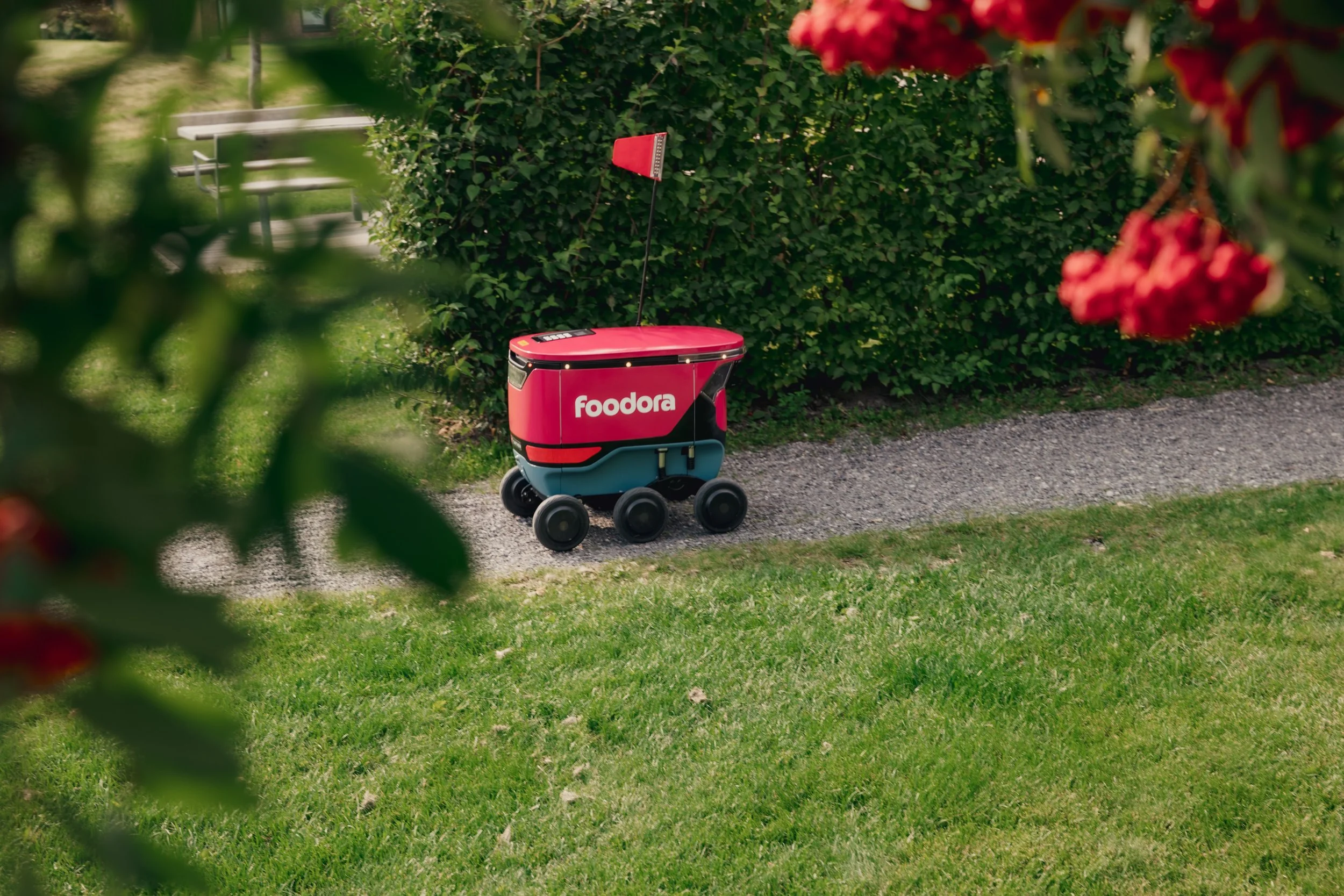 A red food delivery robot with the logo 'foodora' on it, parked on a gravel path next to a green hedge and some red flowers, in a park-like setting.