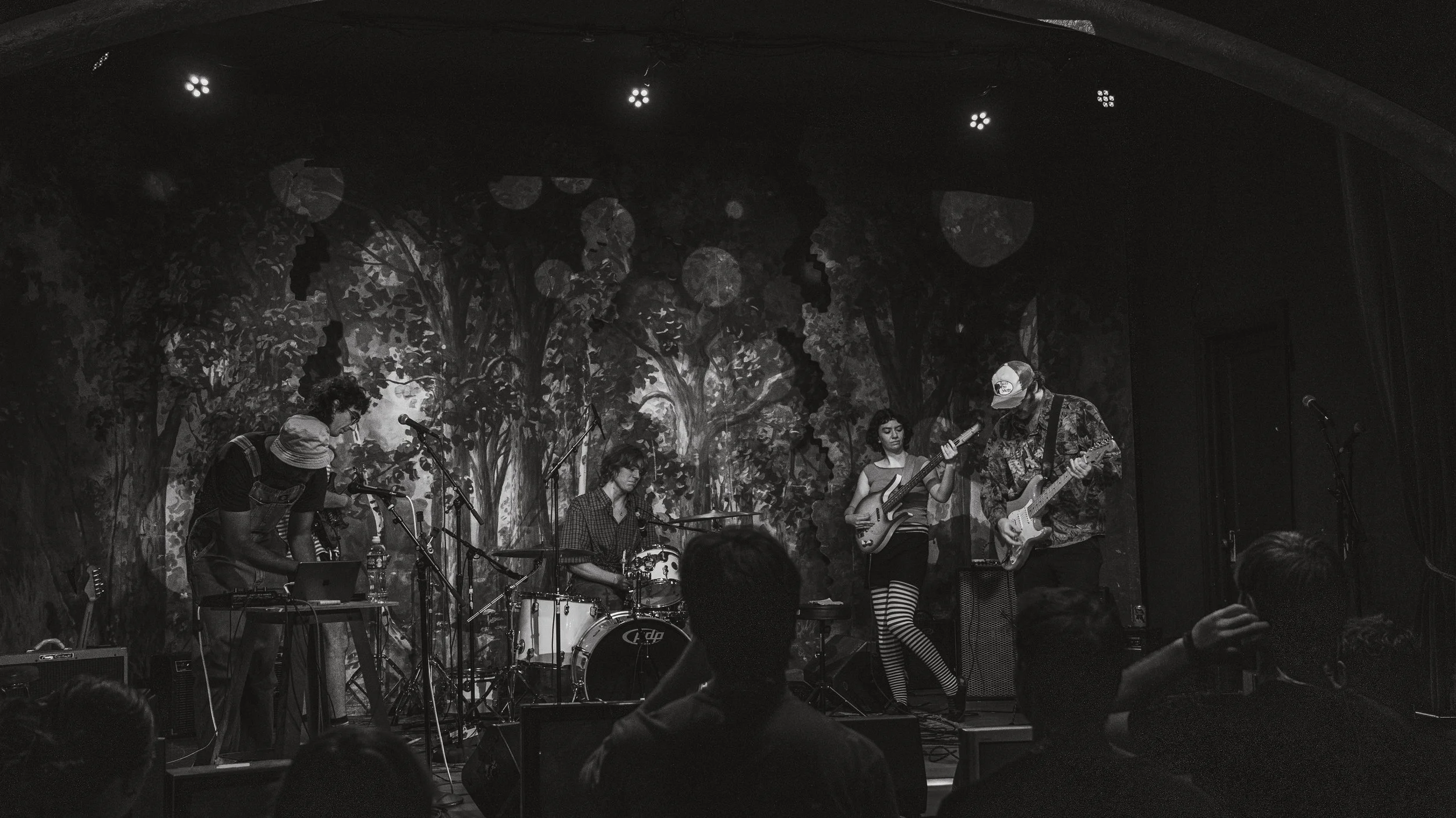 A band performing on stage with a backdrop of a forest scene. The band includes a drummer, a keyboardist, and three guitarists, with one female guitarist wearing striped stockings.