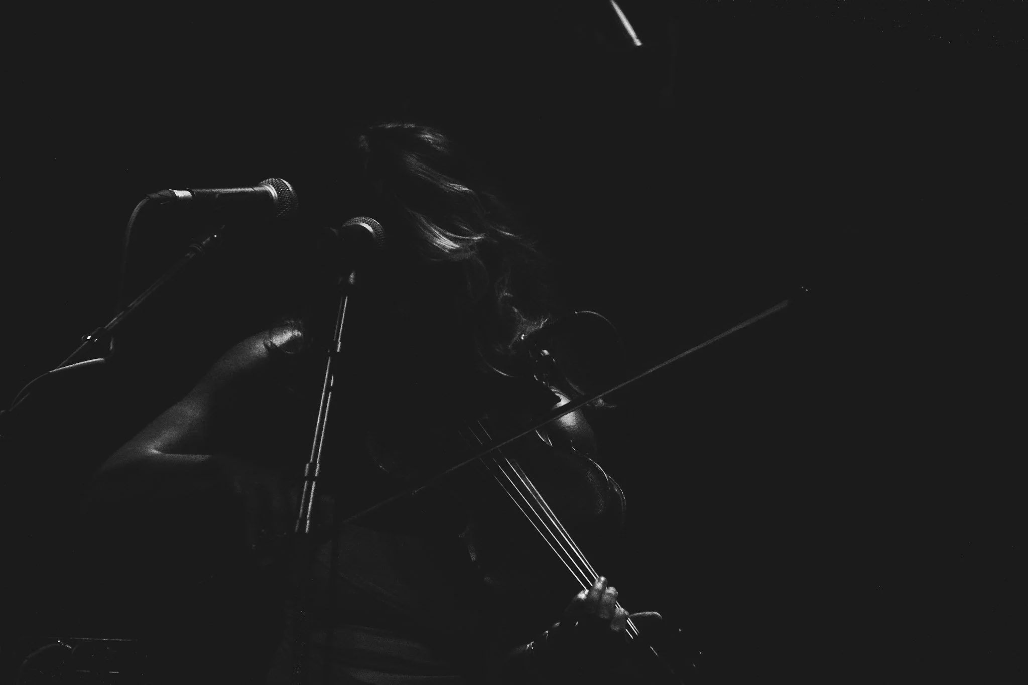 A person playing the violin in a dark setting, with a microphone in front of them, and their hair capturing some light.