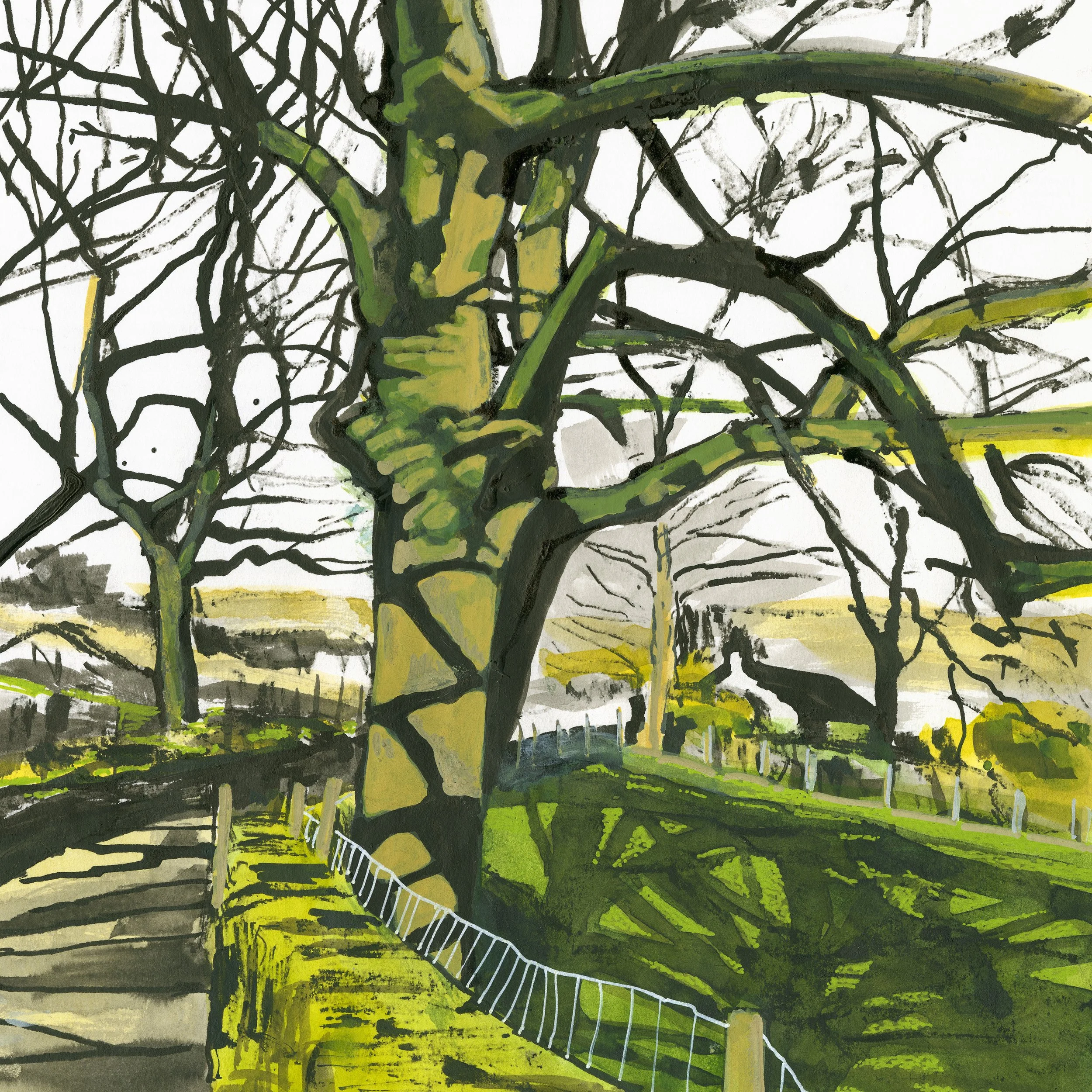 Fritz-Fitton-Art-Original-Sketch-Castleshaw-Trees.jpg