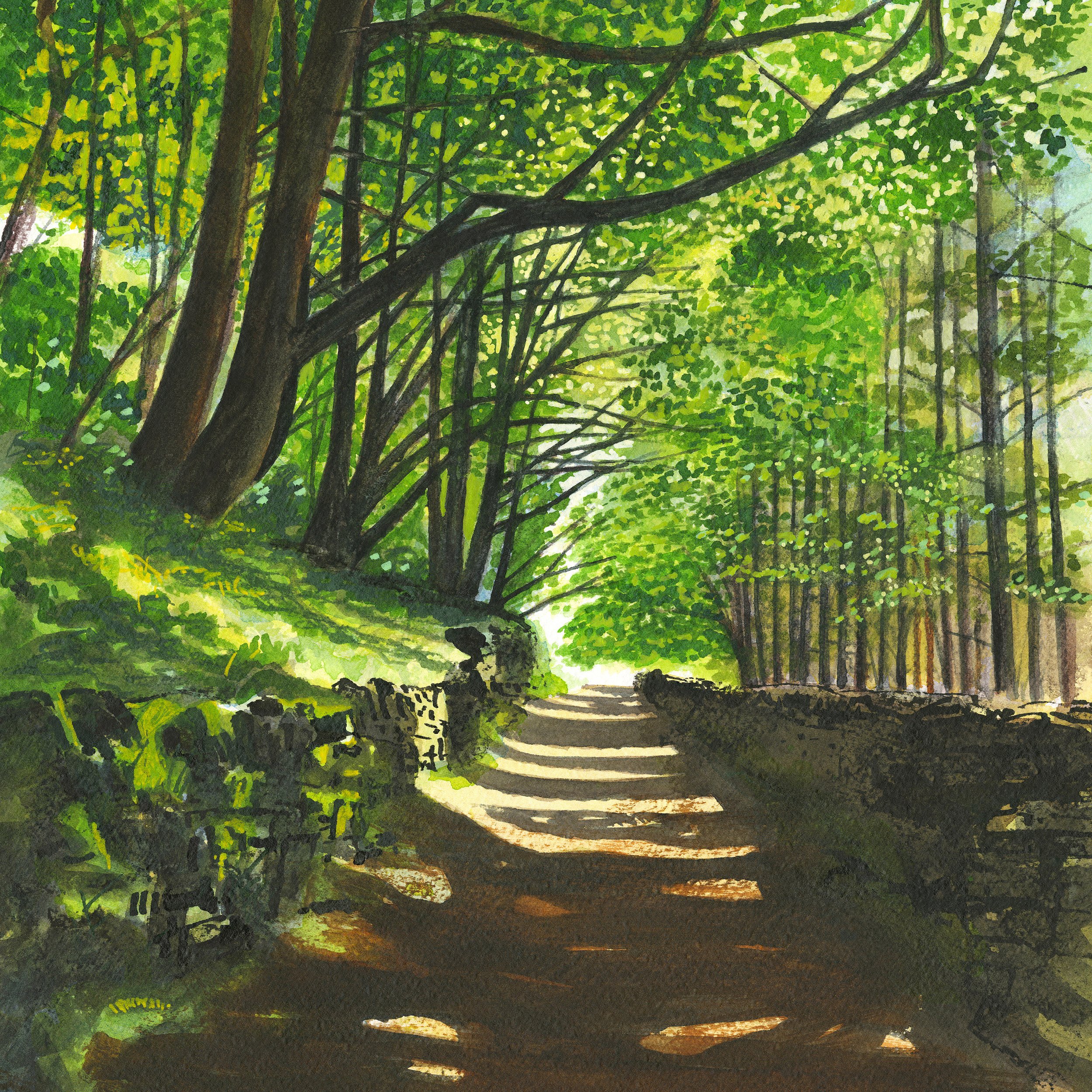 Spring Unfurled - Gilbriding Lane. 30 x 30 cm