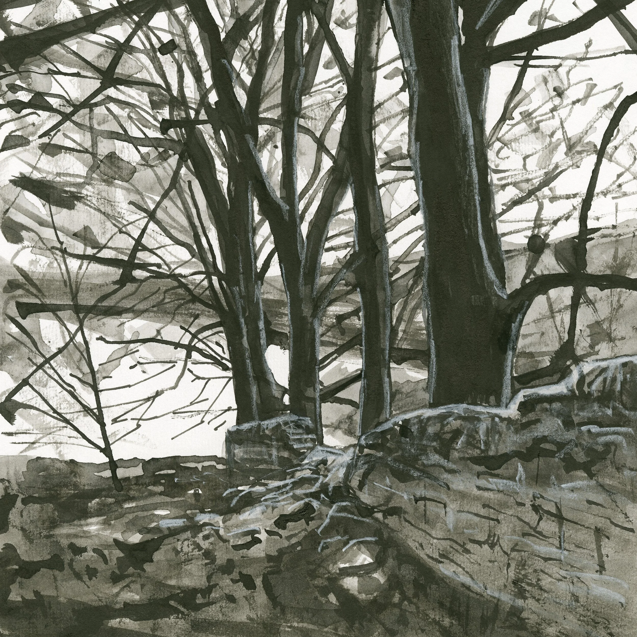 17 Fritz Fitton Art Sketchbook_Hoobram Trees No_1.jpg