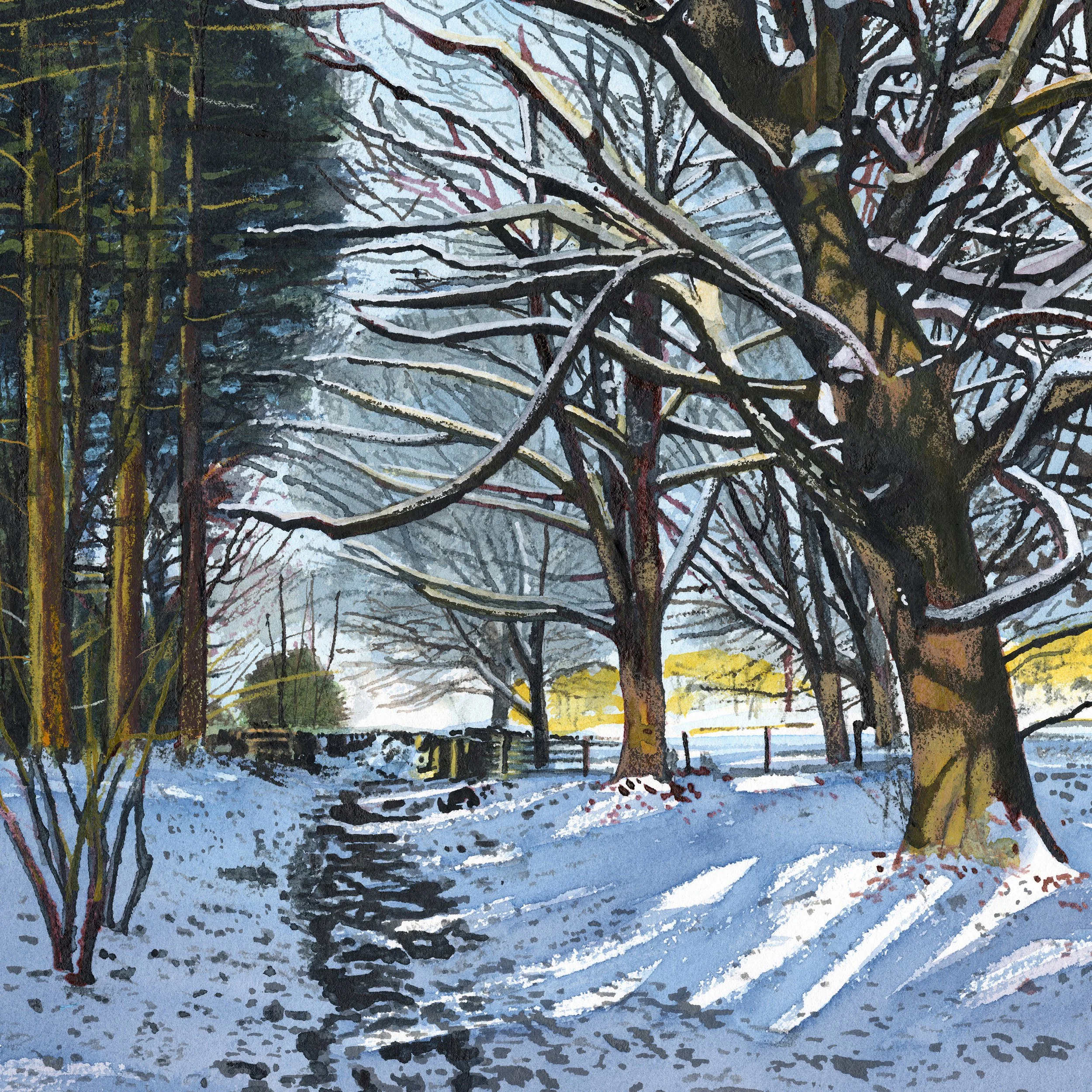 Winter Sunshine No.1 - Hoowood Lane, Digley. 30 x 30 cm
