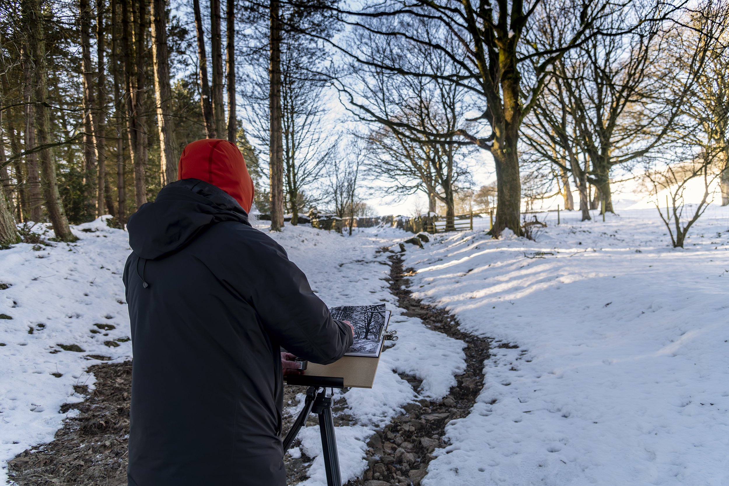 Fritz At Digley_Hoowood Snow 5.jpg