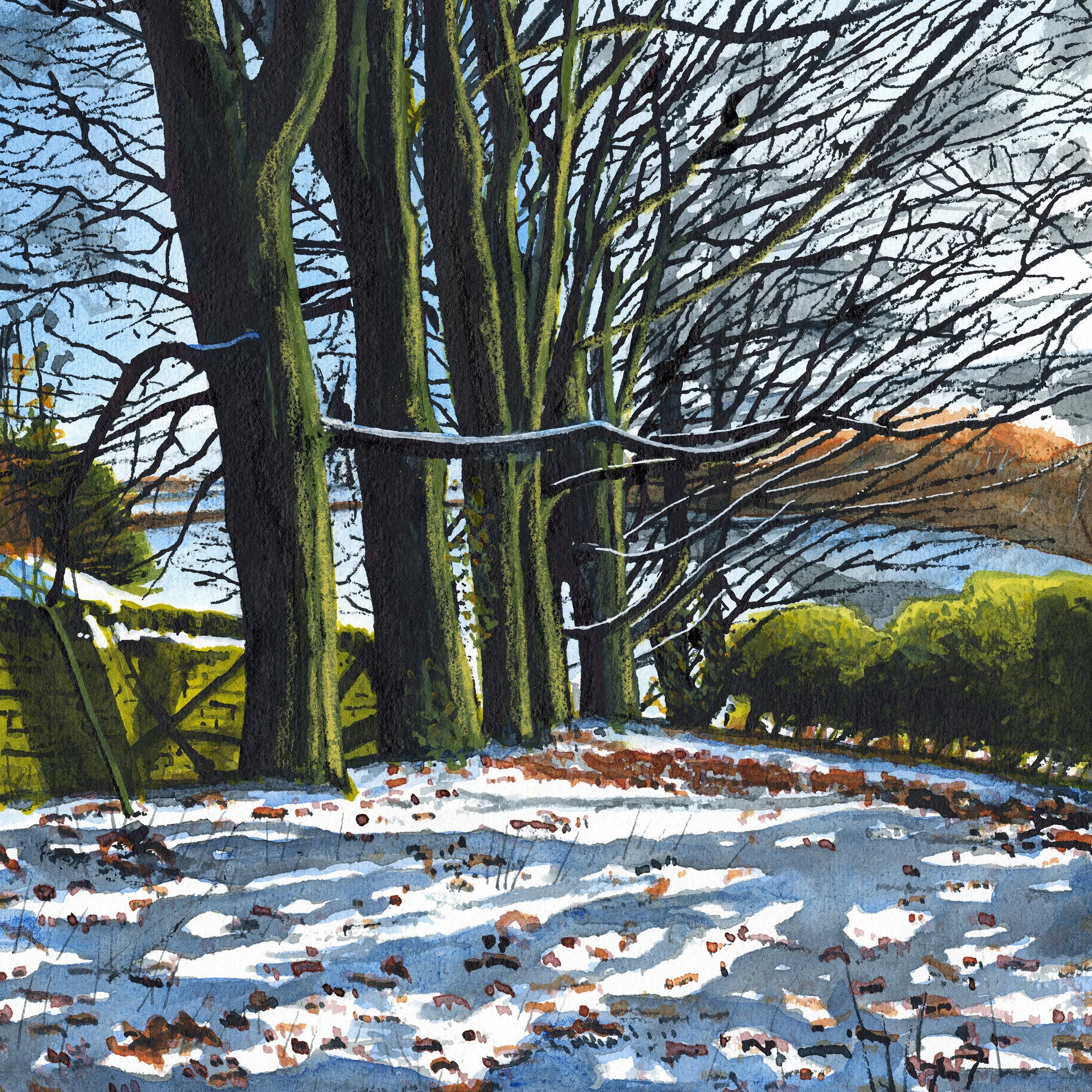 Winter Trees - Hoobram Hill. 30 x 30 cm
