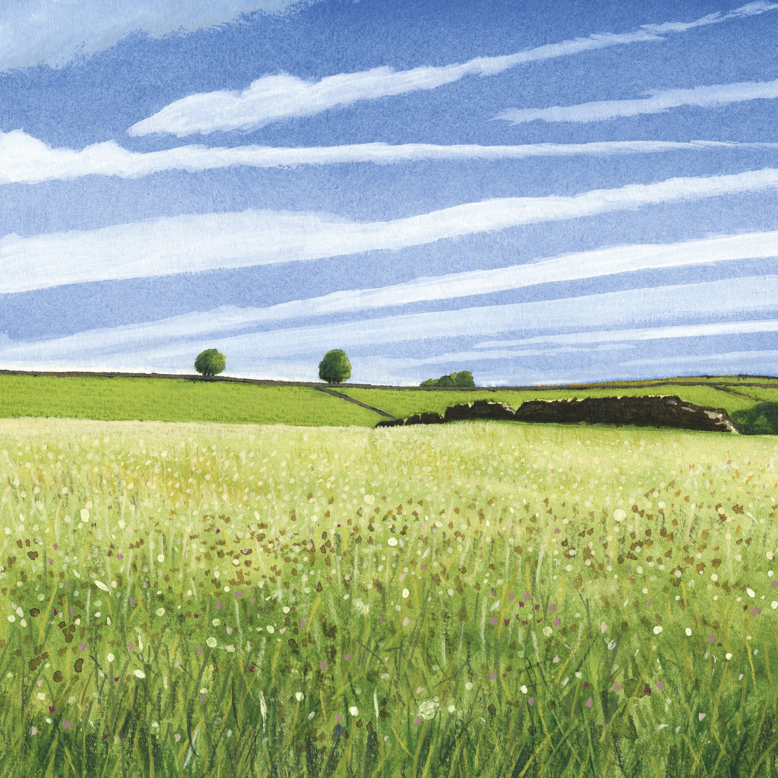 The Windless Meadow - Upland Pasture Above Bilberry. 30 x 30 cm