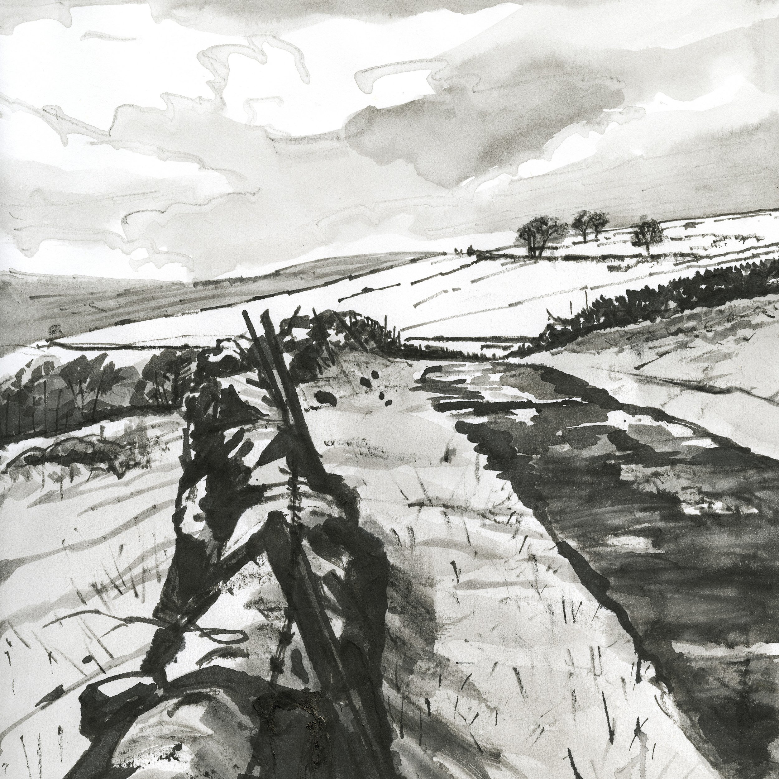 Winter Breeze_Shaw Lane 1.jpg