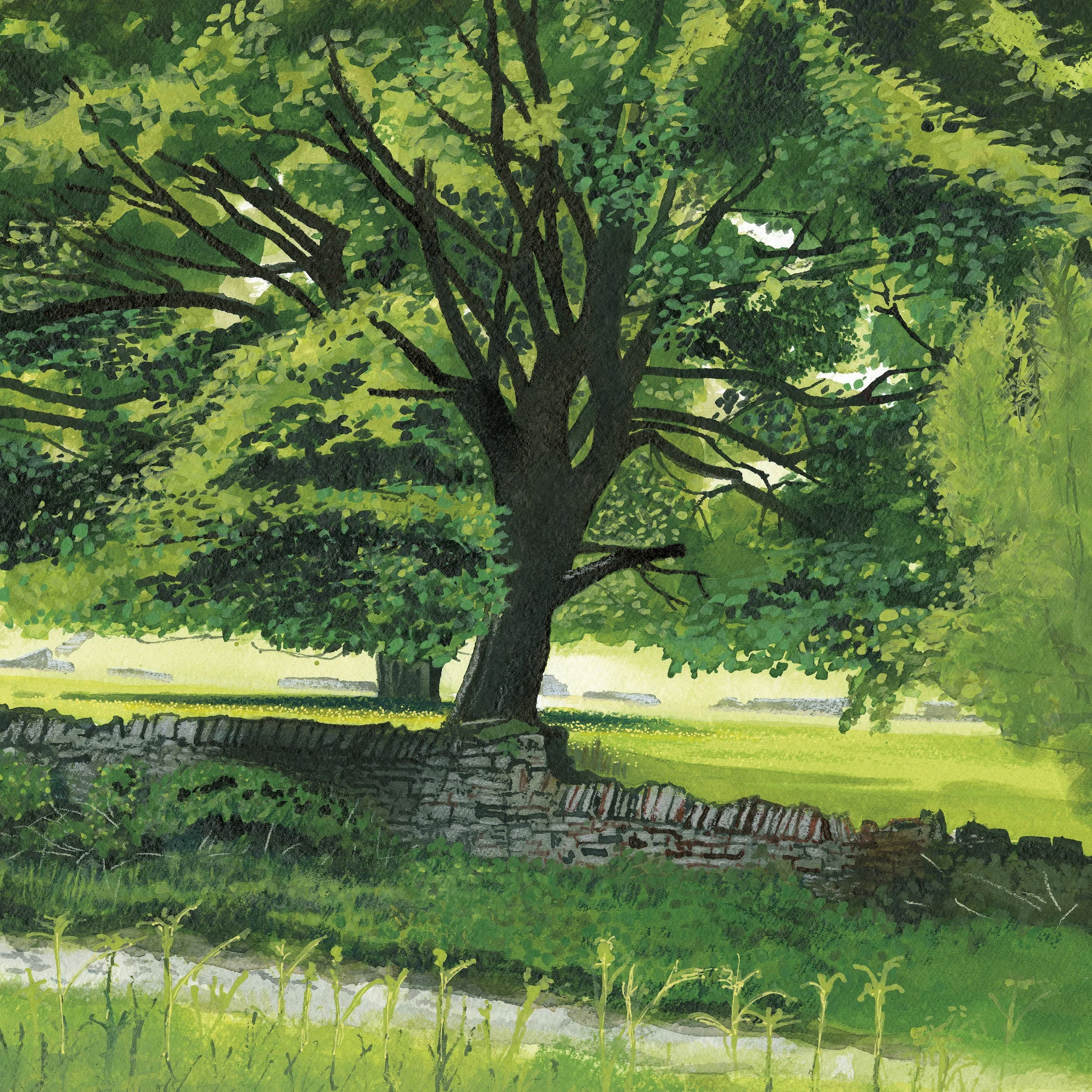 Sycamore Shade - Hoowood Hollow. 30 x 30 cm