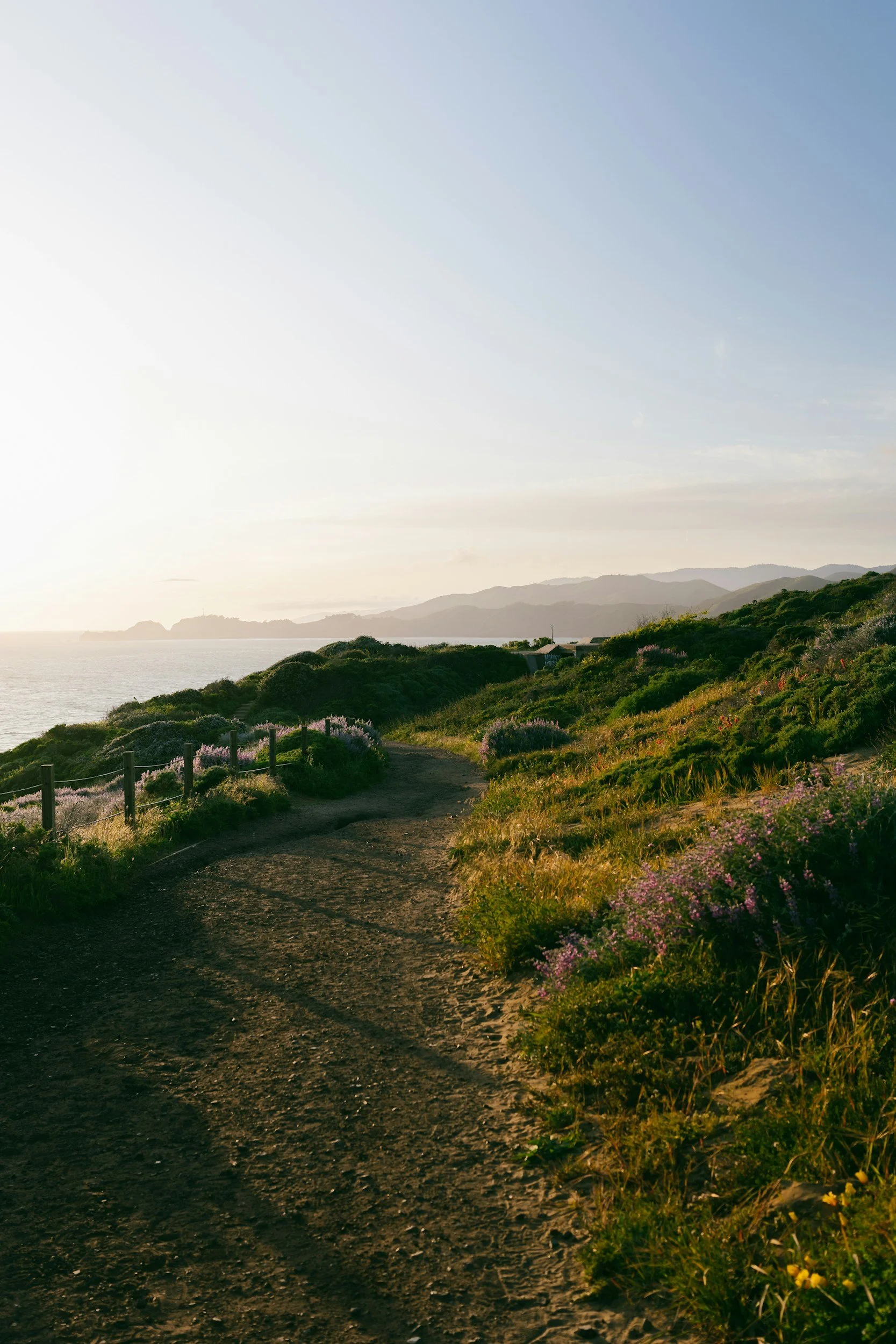 Choose the best path to meet your life objectives