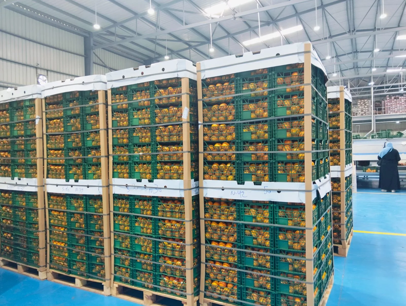 Large stacks of crates filled with melons inside a warehouse with high ceilings and bright lighting.
