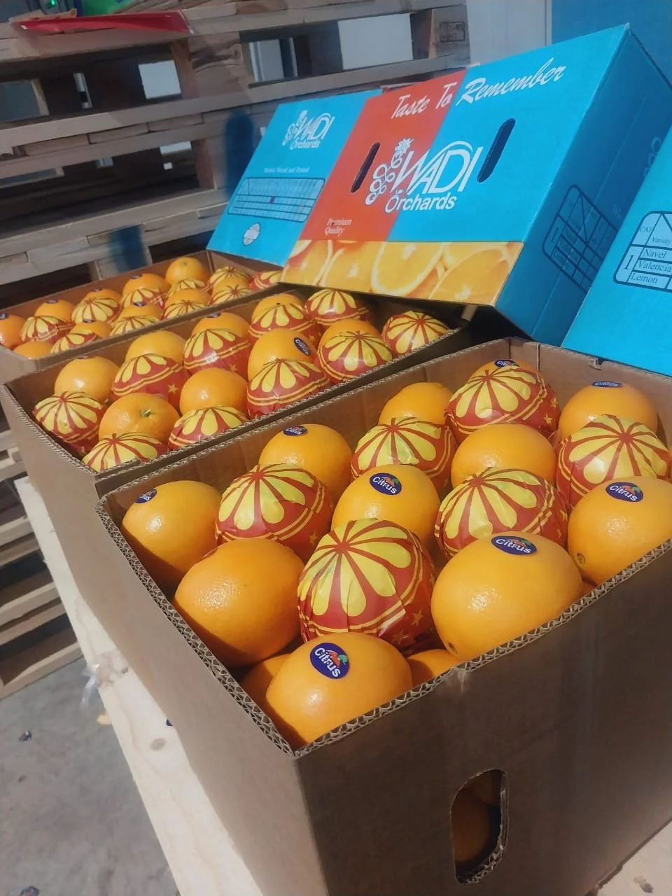 Box of oranges with decorative red and yellow patterns and stickers that say 'Citrus'