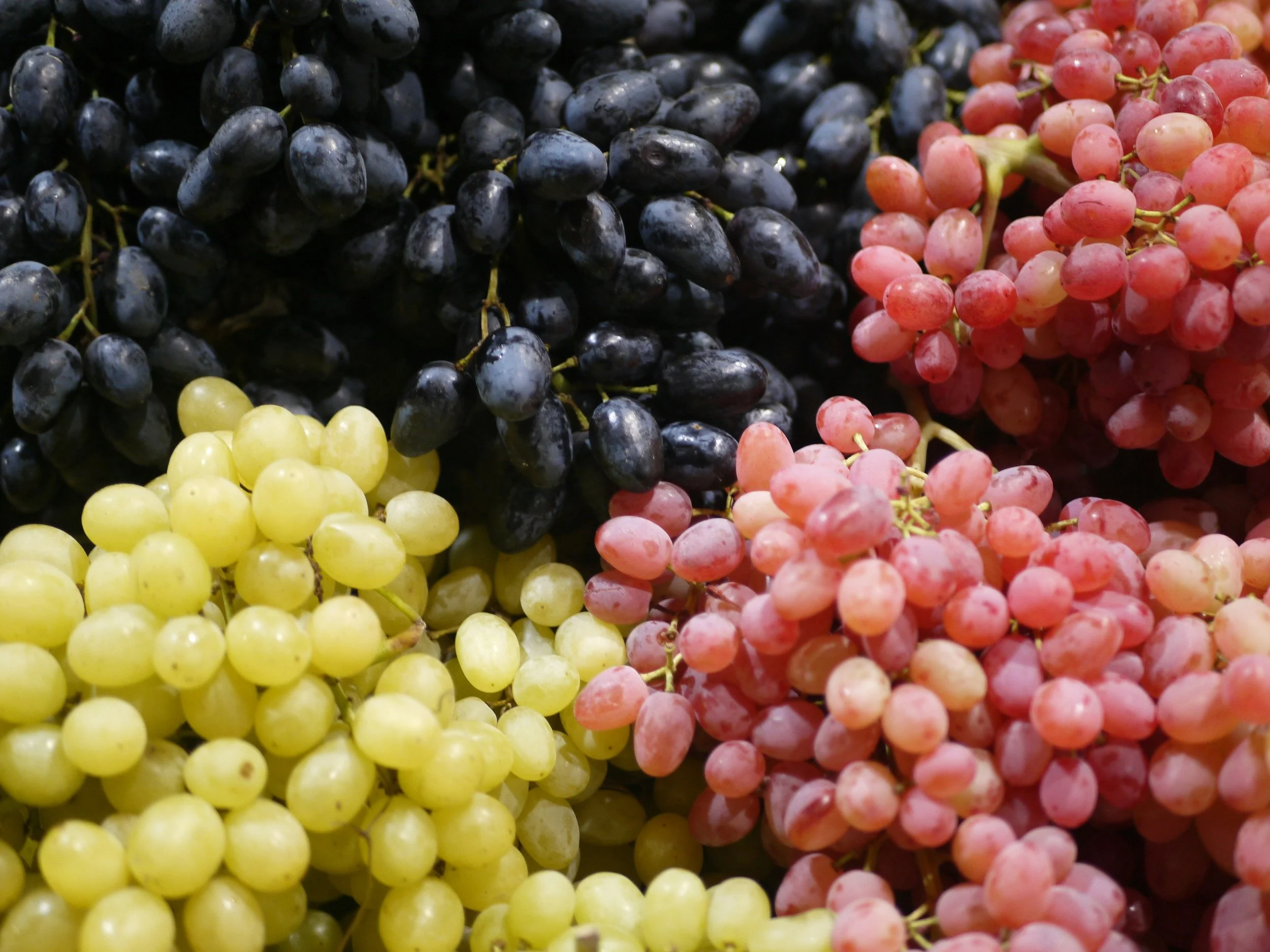 Close-up of bunches of grapes in black, pink, and green colors.