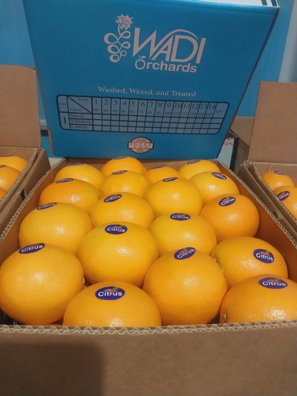A box of fresh, yellow citrus fruits labeled as 'Citrus' in a cardboard box, with a larger blue box of Wadi Orchards behind it.