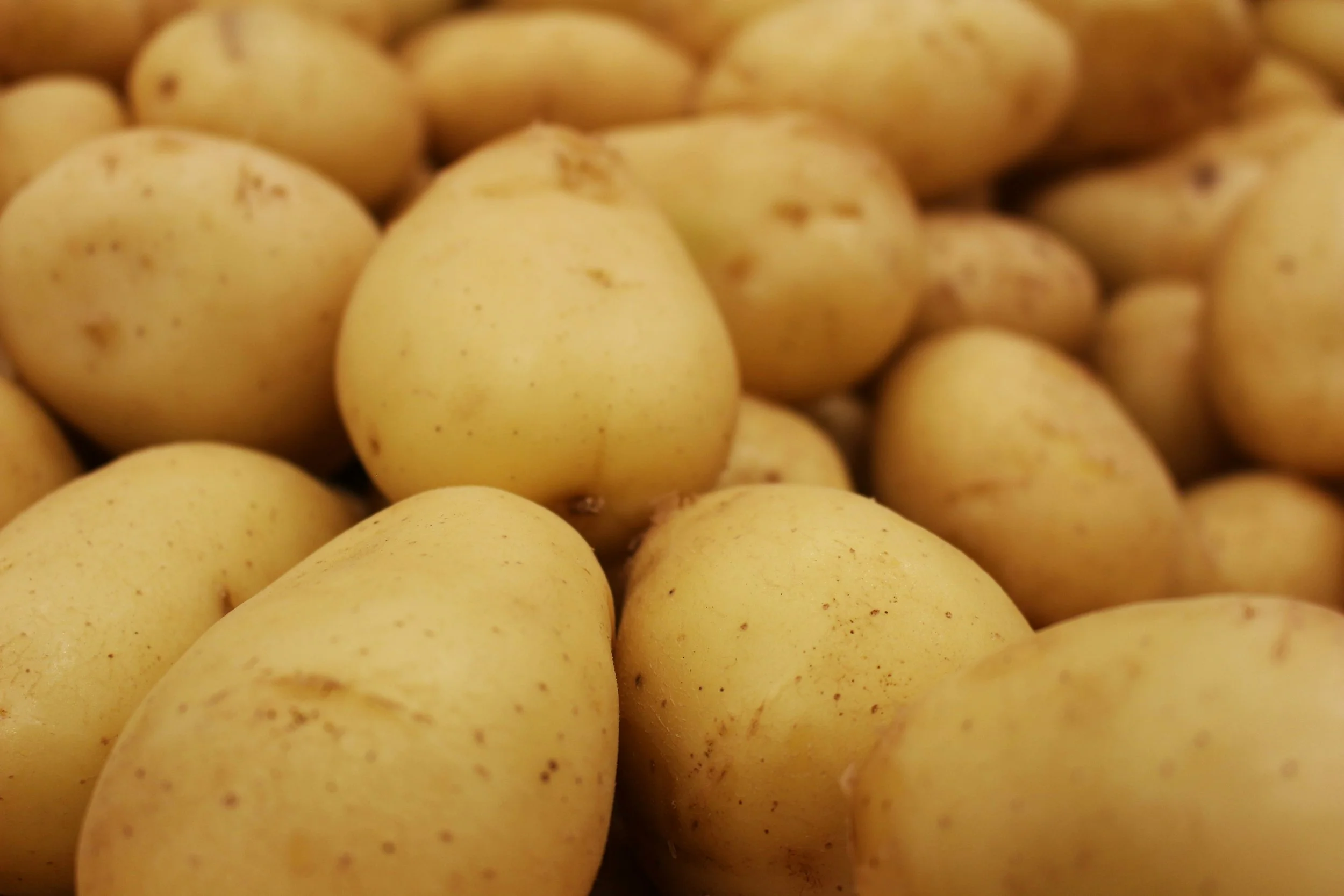 Close-up of numerous yellow potatoes with small brown spots.