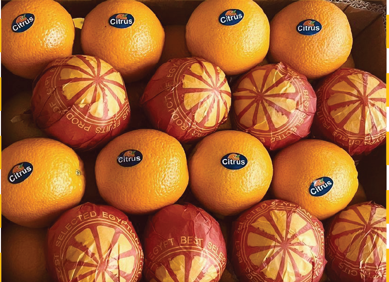 A collection of fresh oranges, some unwrapped and some wrapped in red and yellow citrus-themed paper, with blue Citrus stickers on each orange.