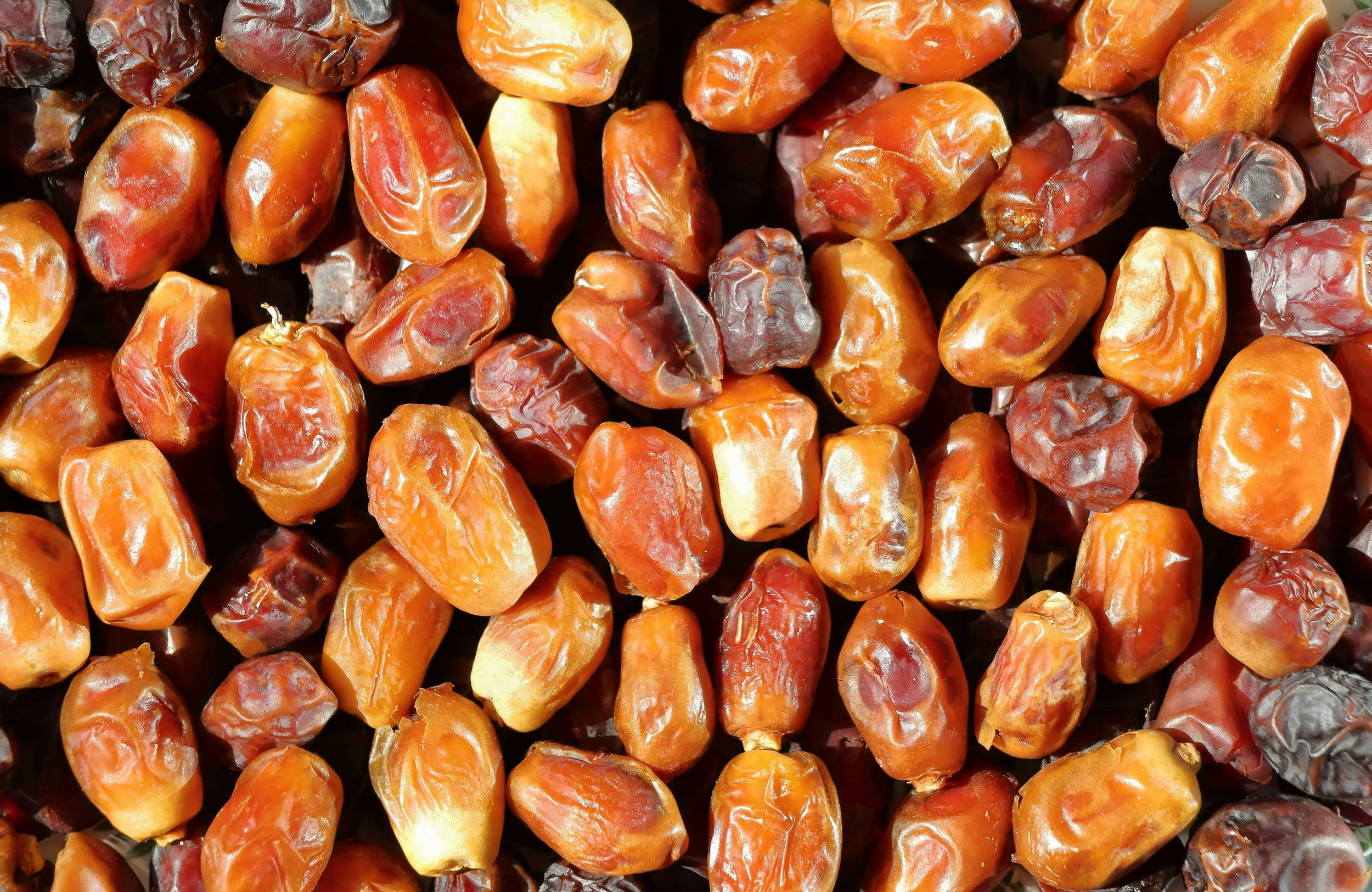 Close-up of a large pile of dried dates with wrinkled, shiny brown to reddish skins.