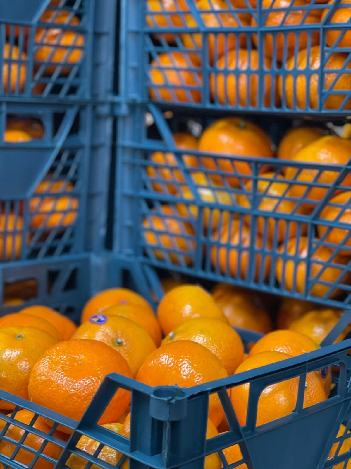 Orange fruits in black plastic crates stacked for display or storage.