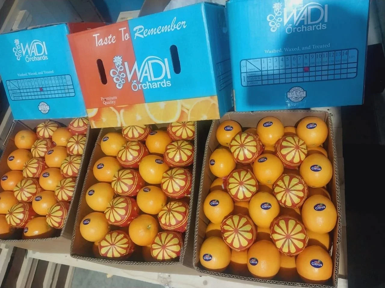 Boxes of grapefruits with some wrapped in decorative paper, displayed at a market or store. The boxes have labels from WADI Orchards and feature a sign reading "Taste To Remember."