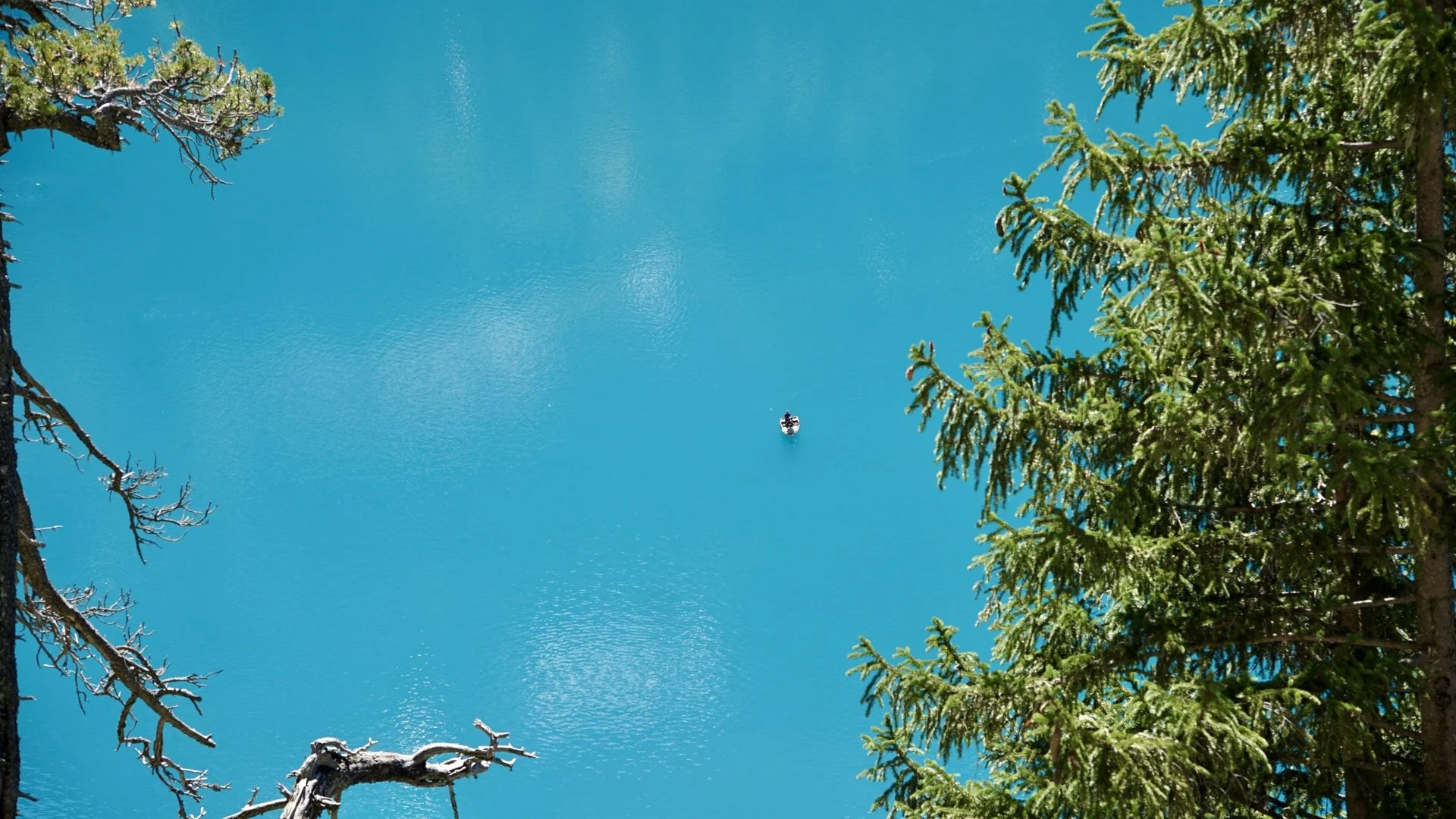 DSC04902.jpeg