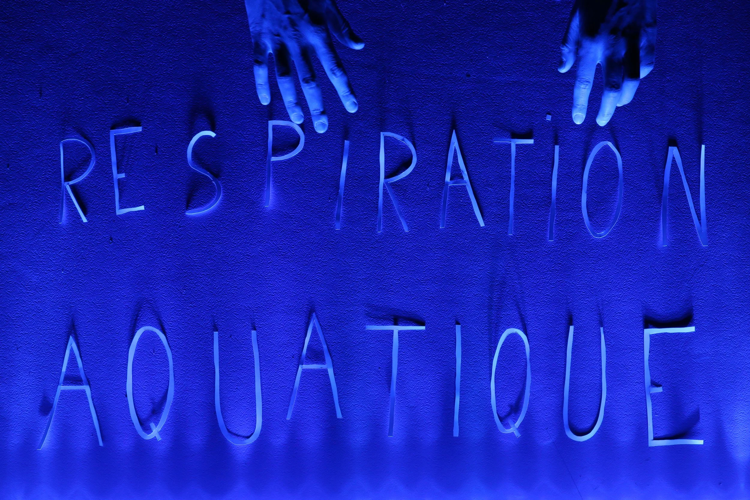 Respiration Aquatique