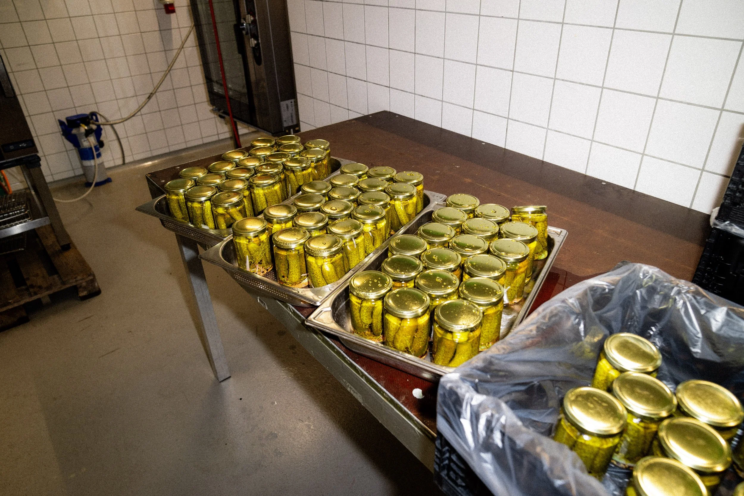 ZüriGurke_Produktionstag-00486.jpg