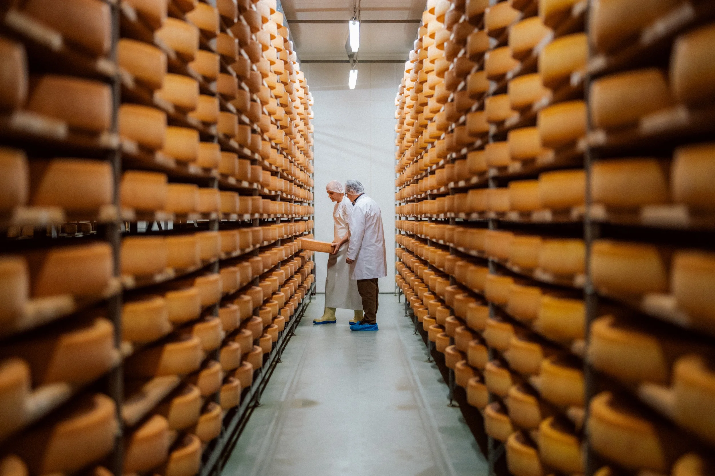 Gruyere