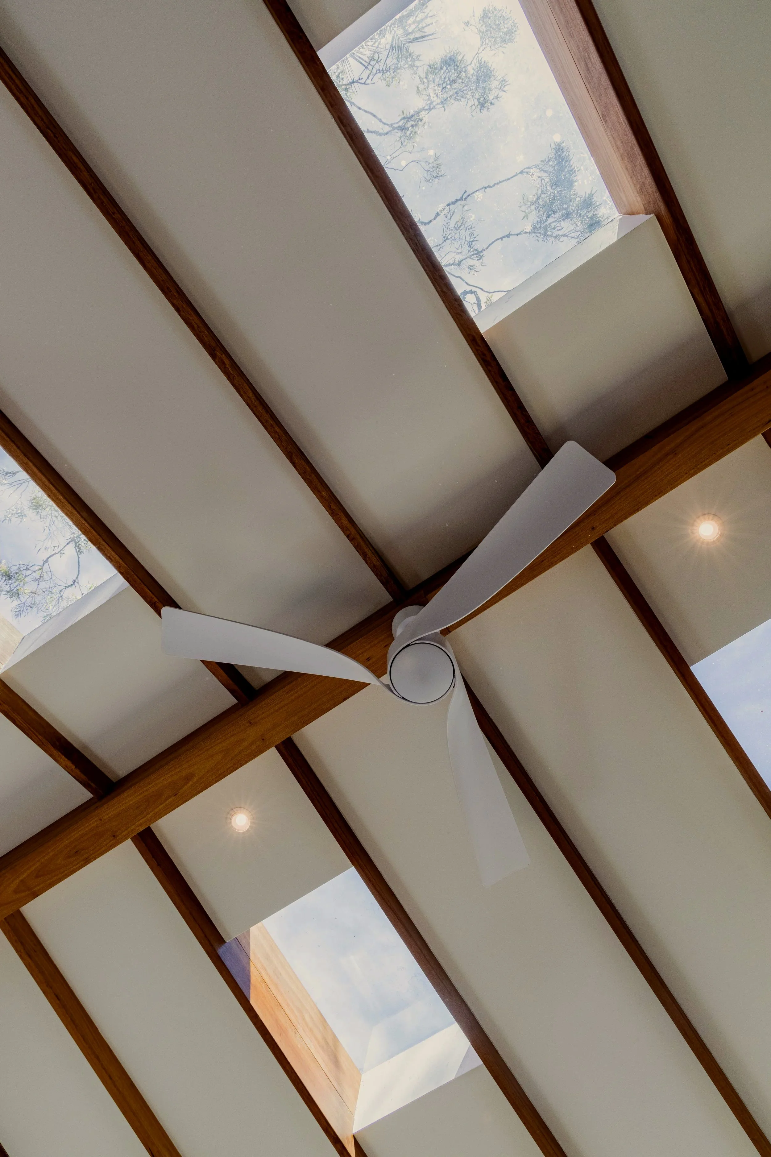 105A7119-HDR.jpg