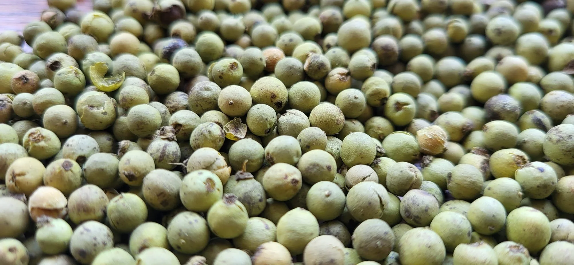 Groene peper