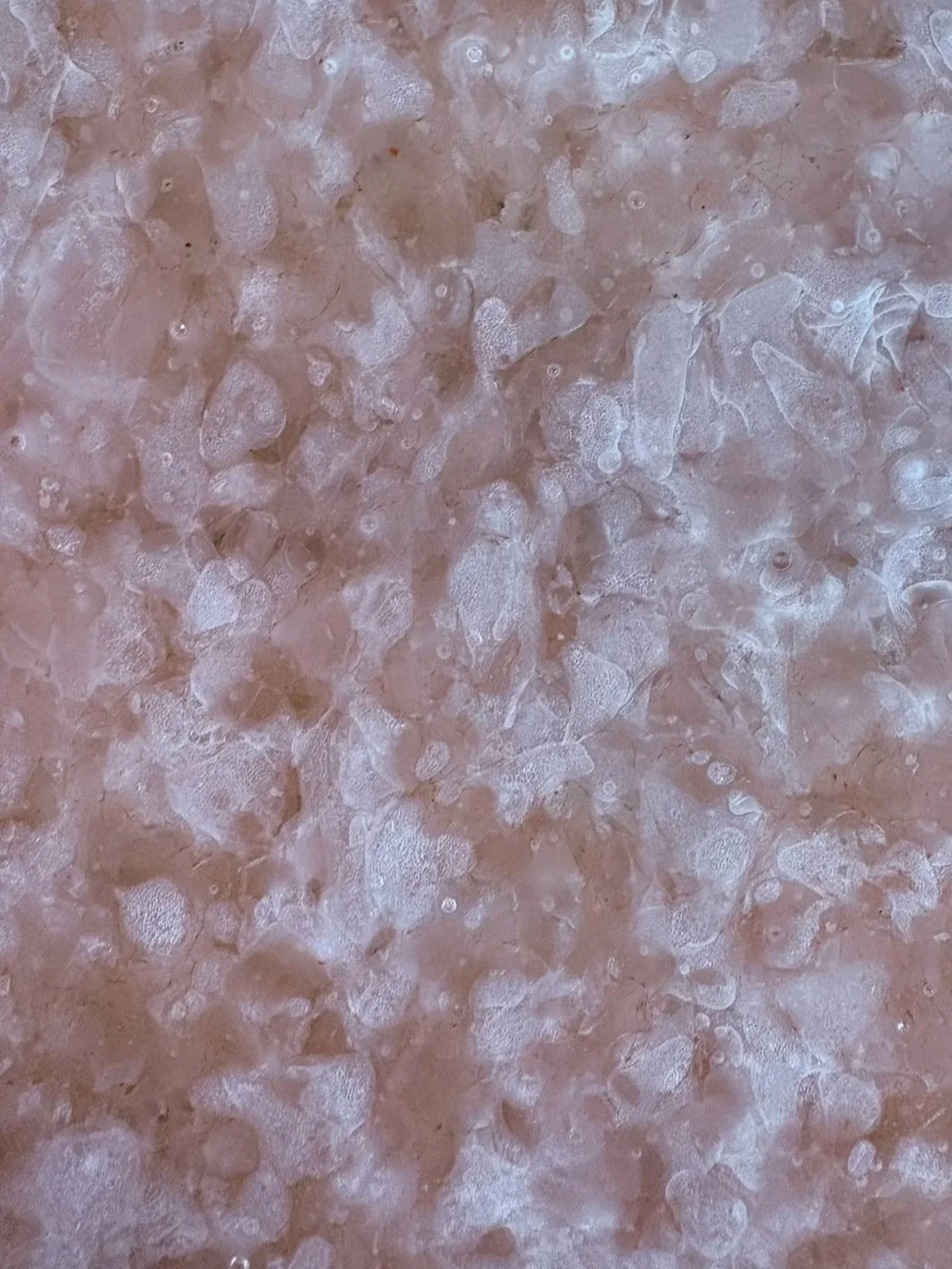 Close-up of the tiles made from recycling pharmaceutical glass waste.