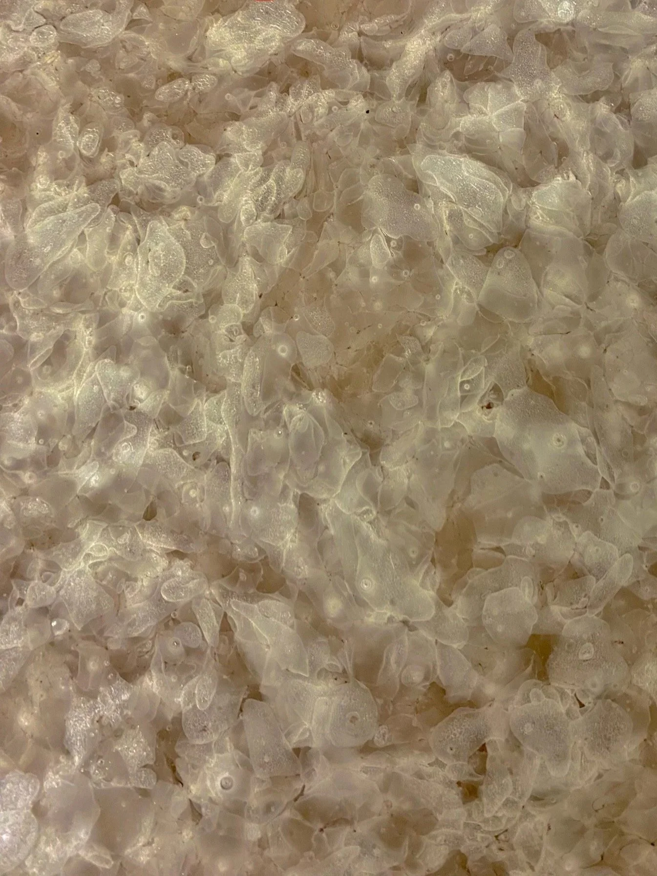 Close-up of the tiles made from recycling pharmaceutical glass waste.