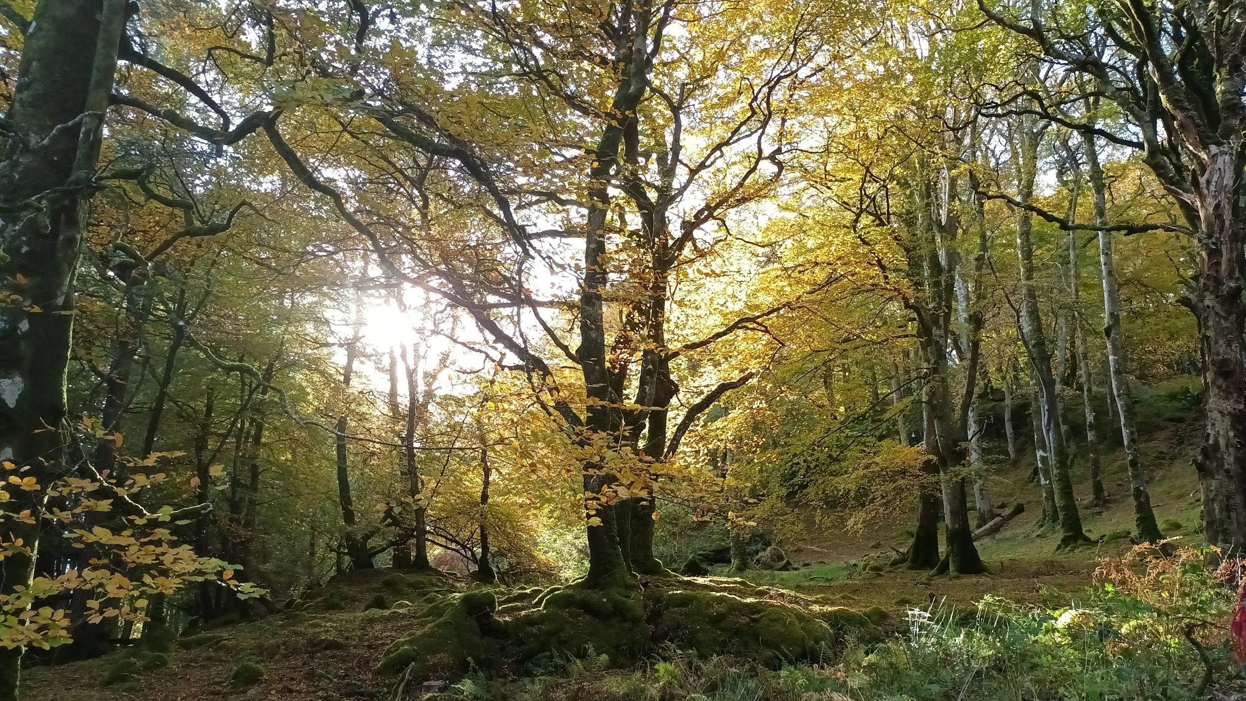 20231023_104531.jpg