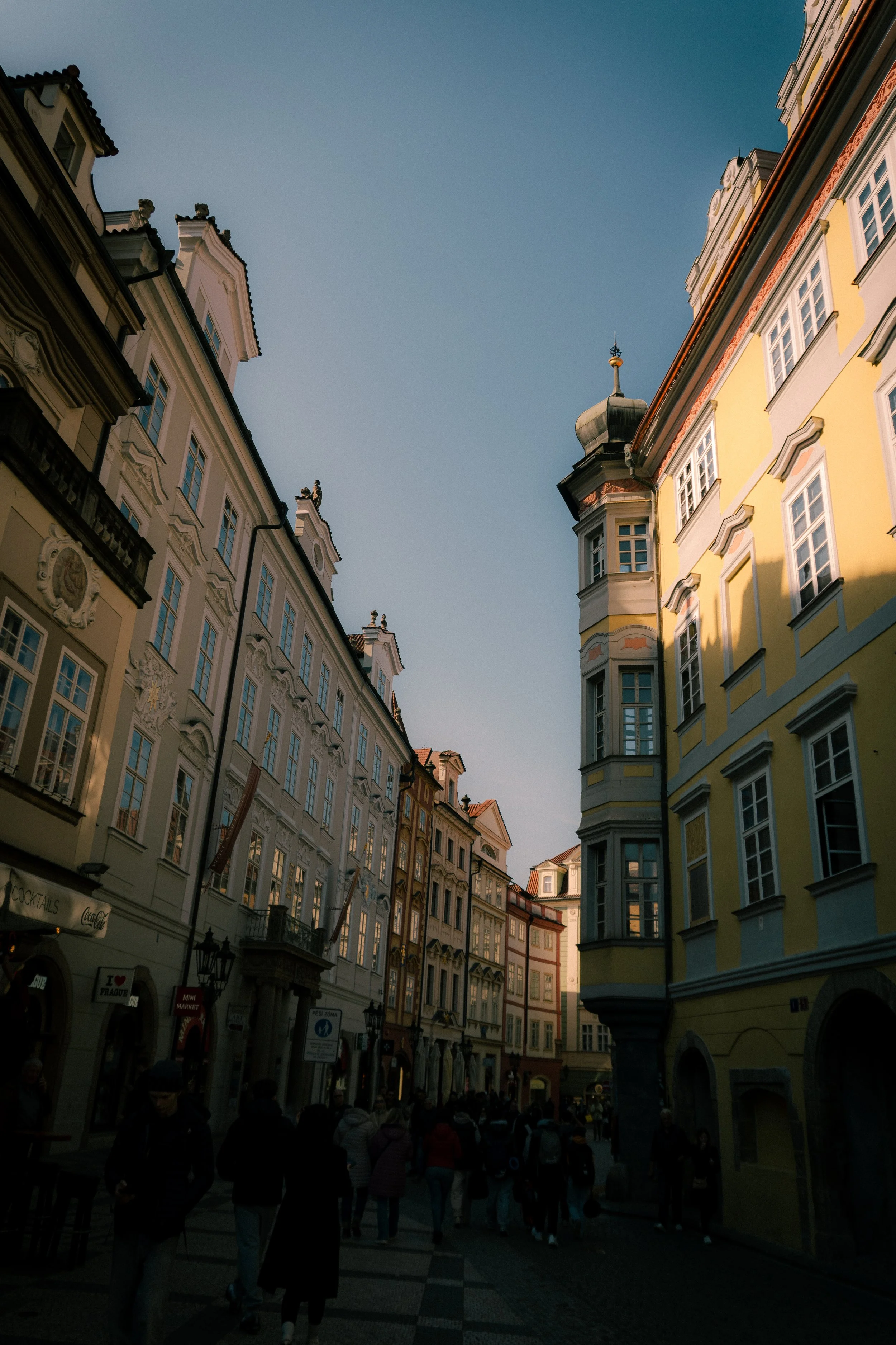 DSC02017.jpg