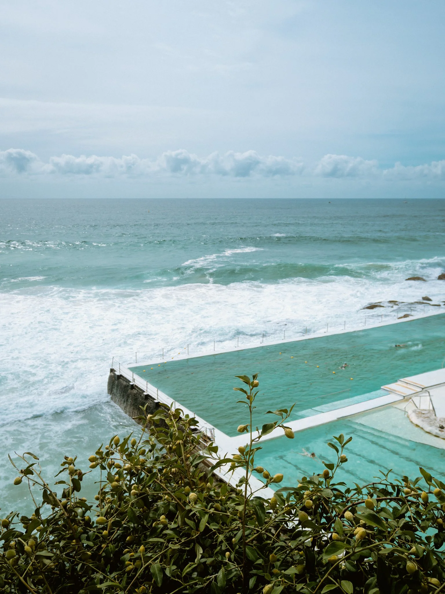 20251230-DSC01001.jpg