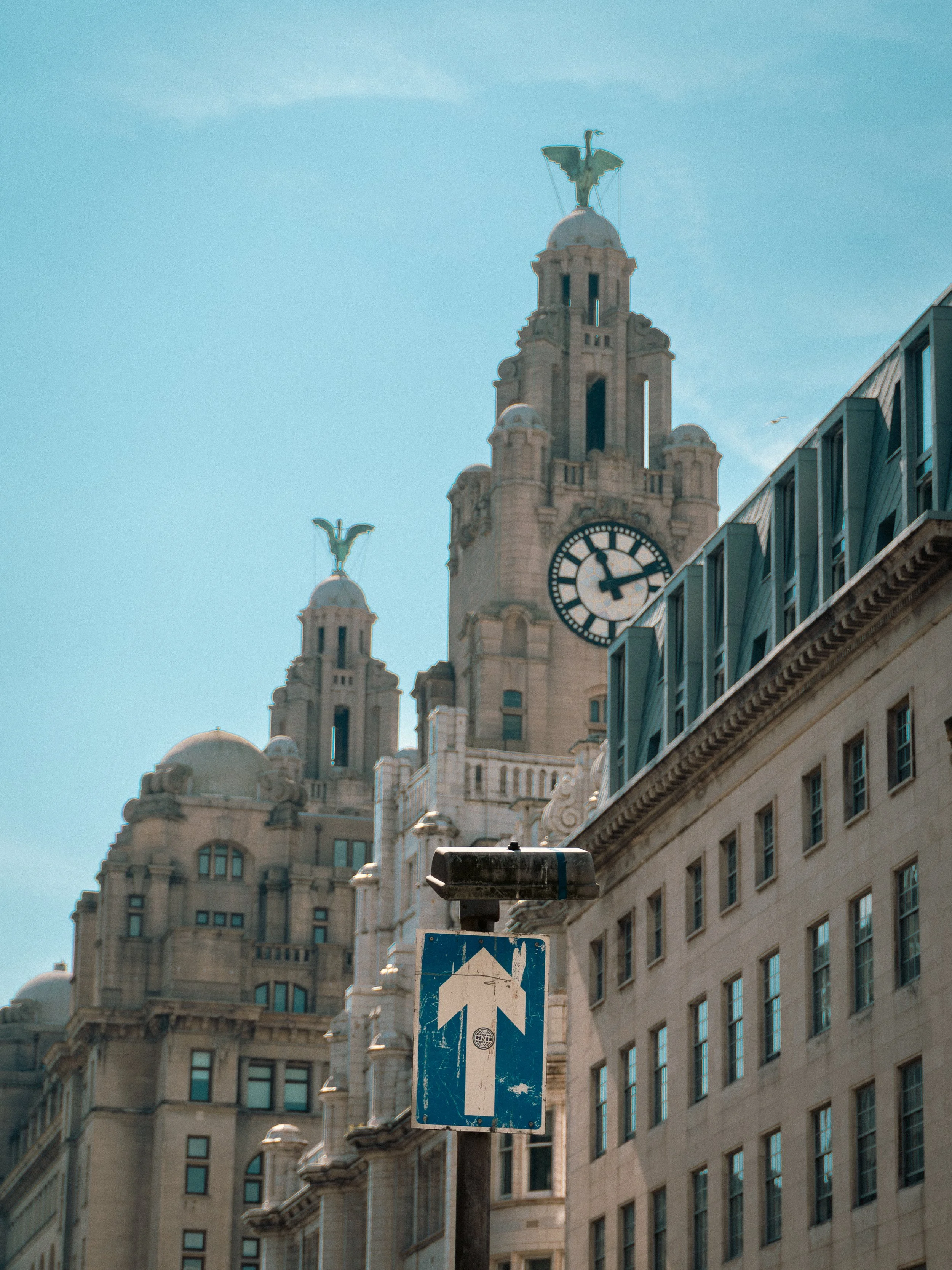 DSC04285-2.JPG