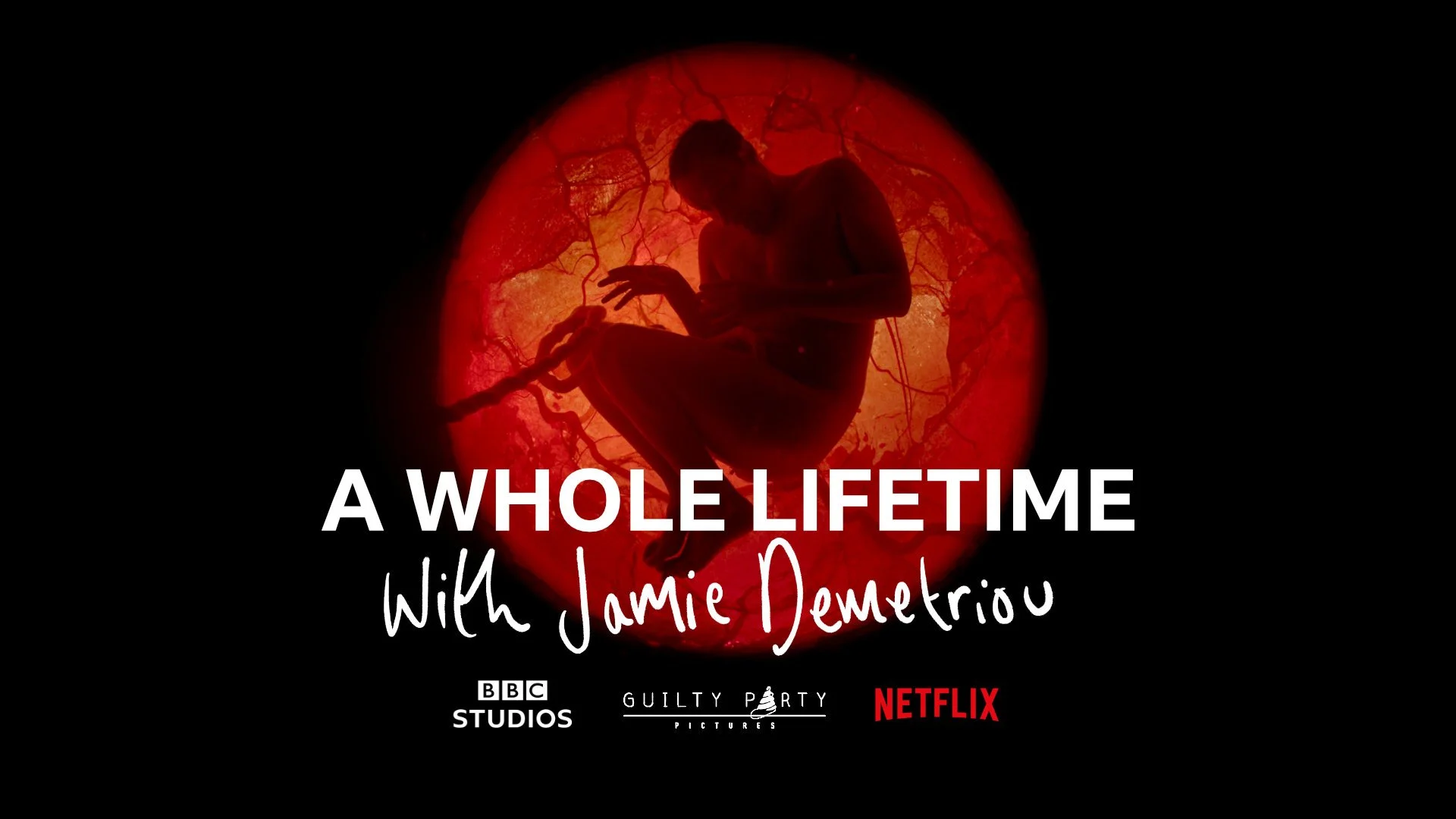 A Whole Lifetime With Jamie Demetriou