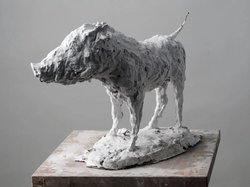 Nicola Hicks plaster wild boar sculpture from A Walk in the Park, 2009