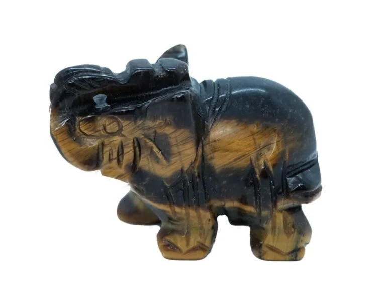 elephant tiger eye.jpg