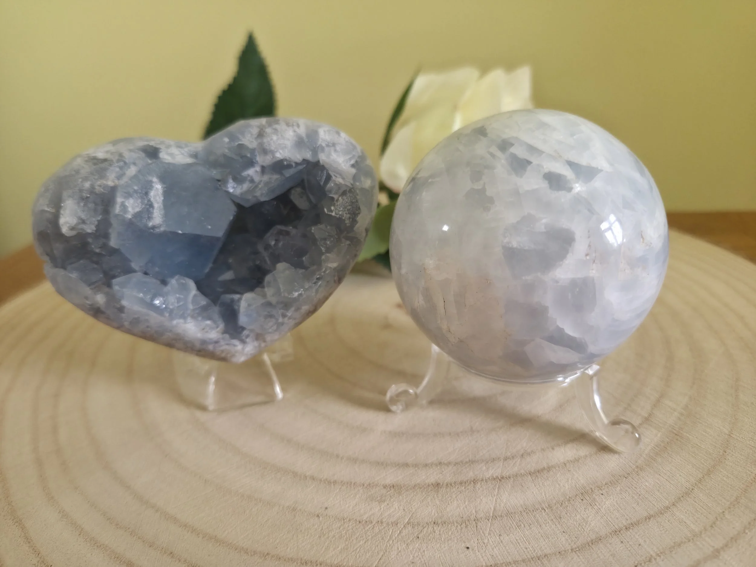 Close-up of two jewelry-like objects on clear stands, one dark gray and the other light gray with a shiny, faceted surface, with a green leaf in the background.