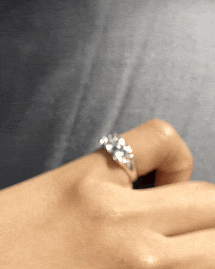 signet.gif