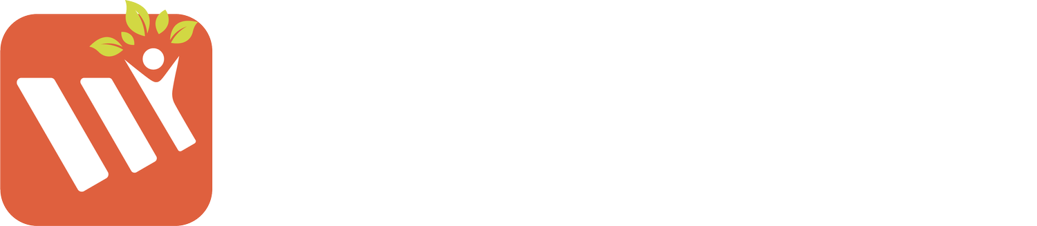 Wellspring Church Consulting (Copy)