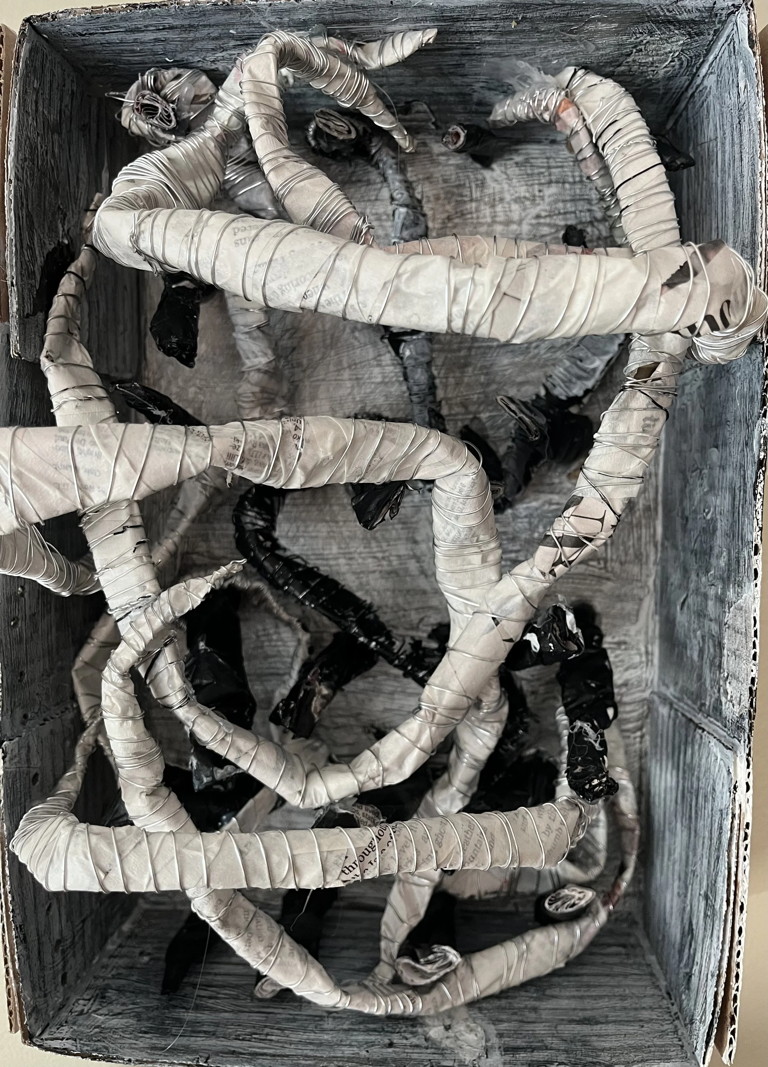 Wired Coils - 8.5" x 12" x 3". Cardboard box, wire, newspaper, acrylic paint, and pencil. 