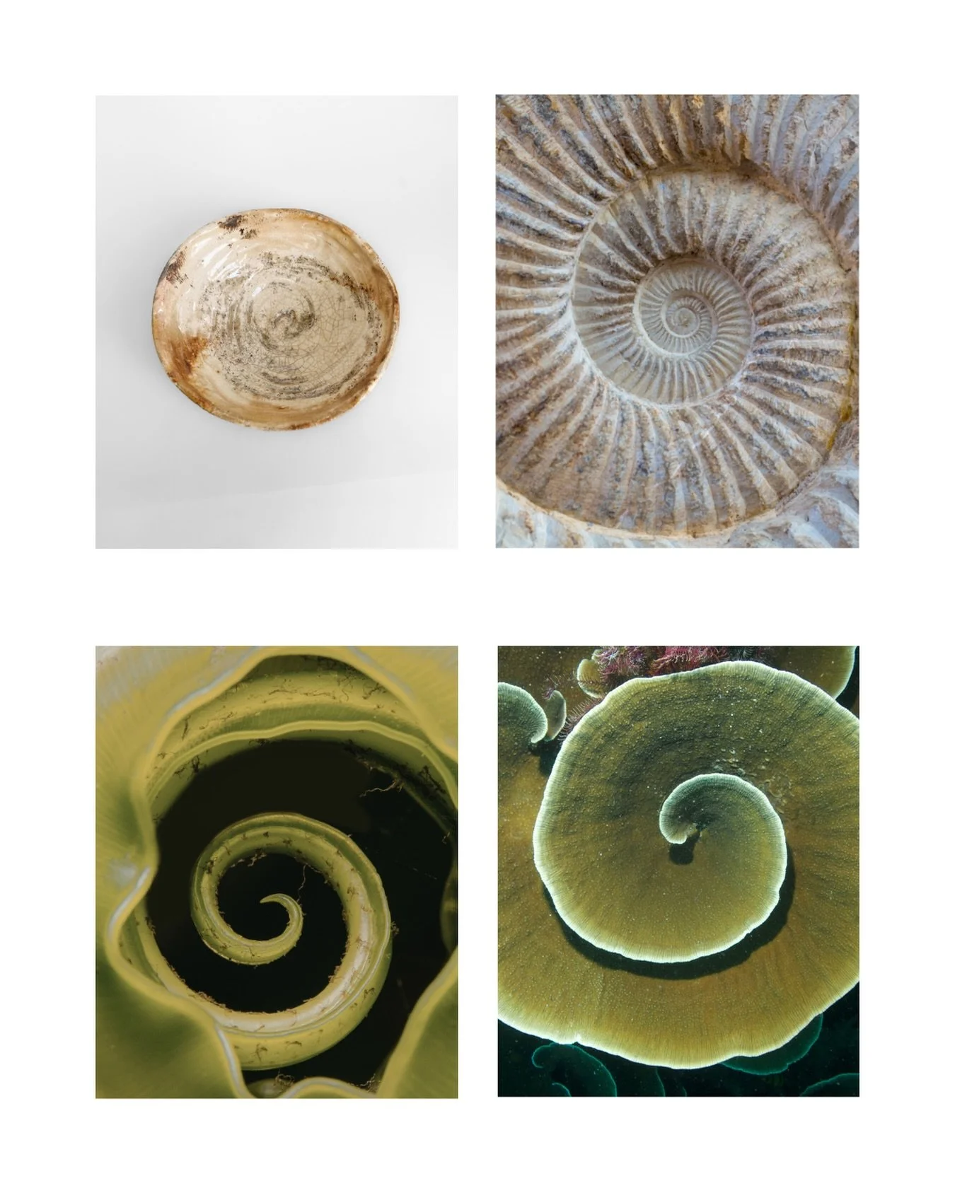 #rakupottery and nature