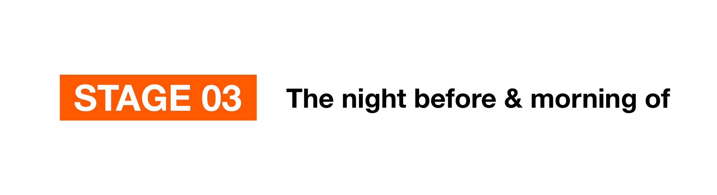 Logo for Stage 03 of a event or series titled 'The night' with black background, orange and white text.