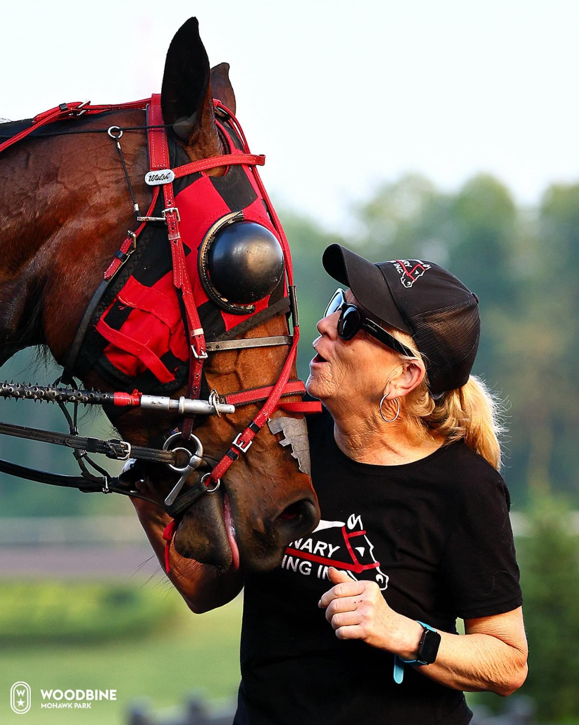 A woman wearing sunglasses, a black cap, and a black HARO t-shirt is kissing the nose of a brown horse with a red and black bridle.