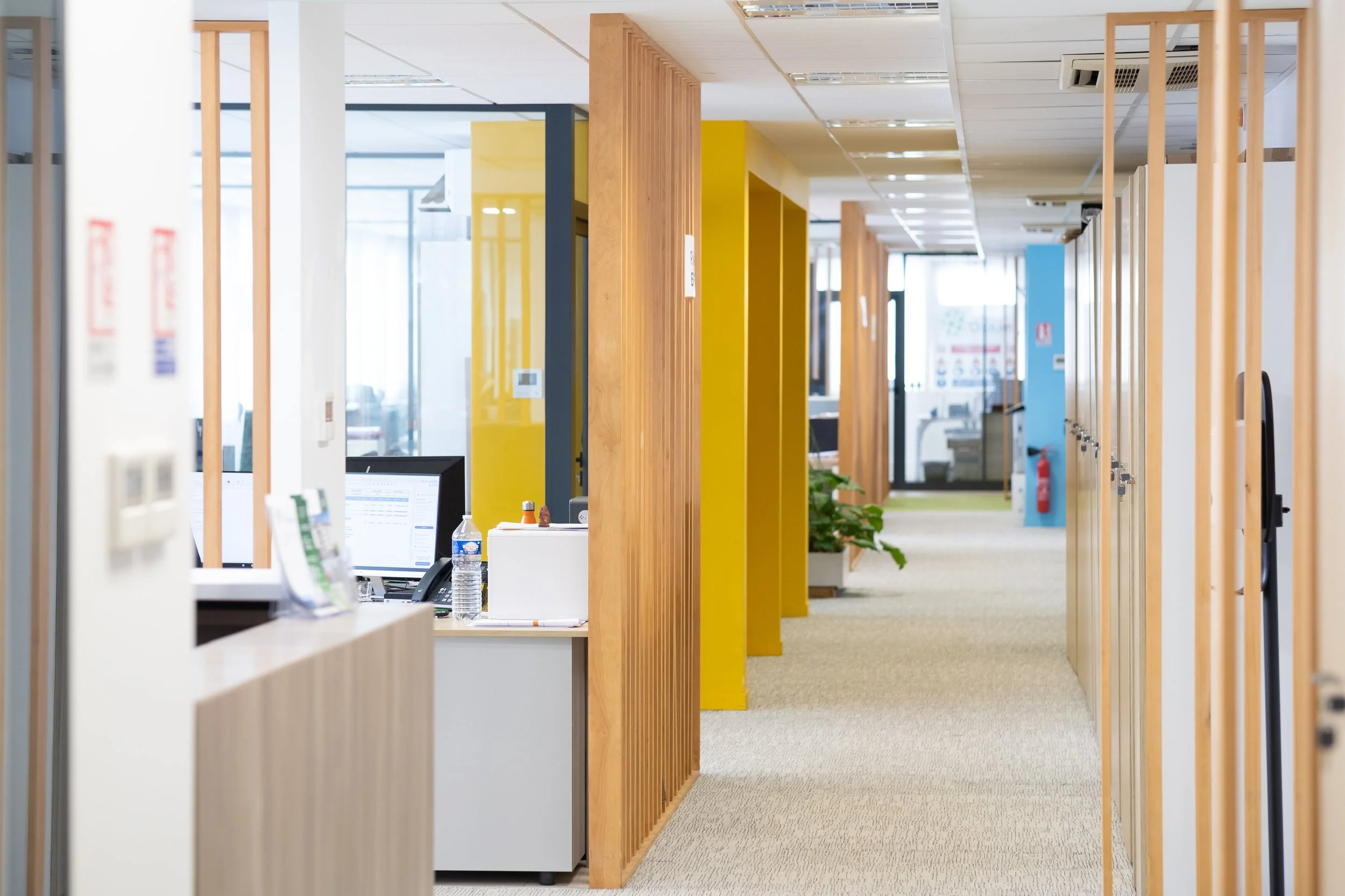 Un bureau moderne avec des cloisons en bois, un espace ouvert avec des postes de travail, des ordinateurs, une bouteille d'eau, et un décor coloré avec des murs jaunes et bleus.