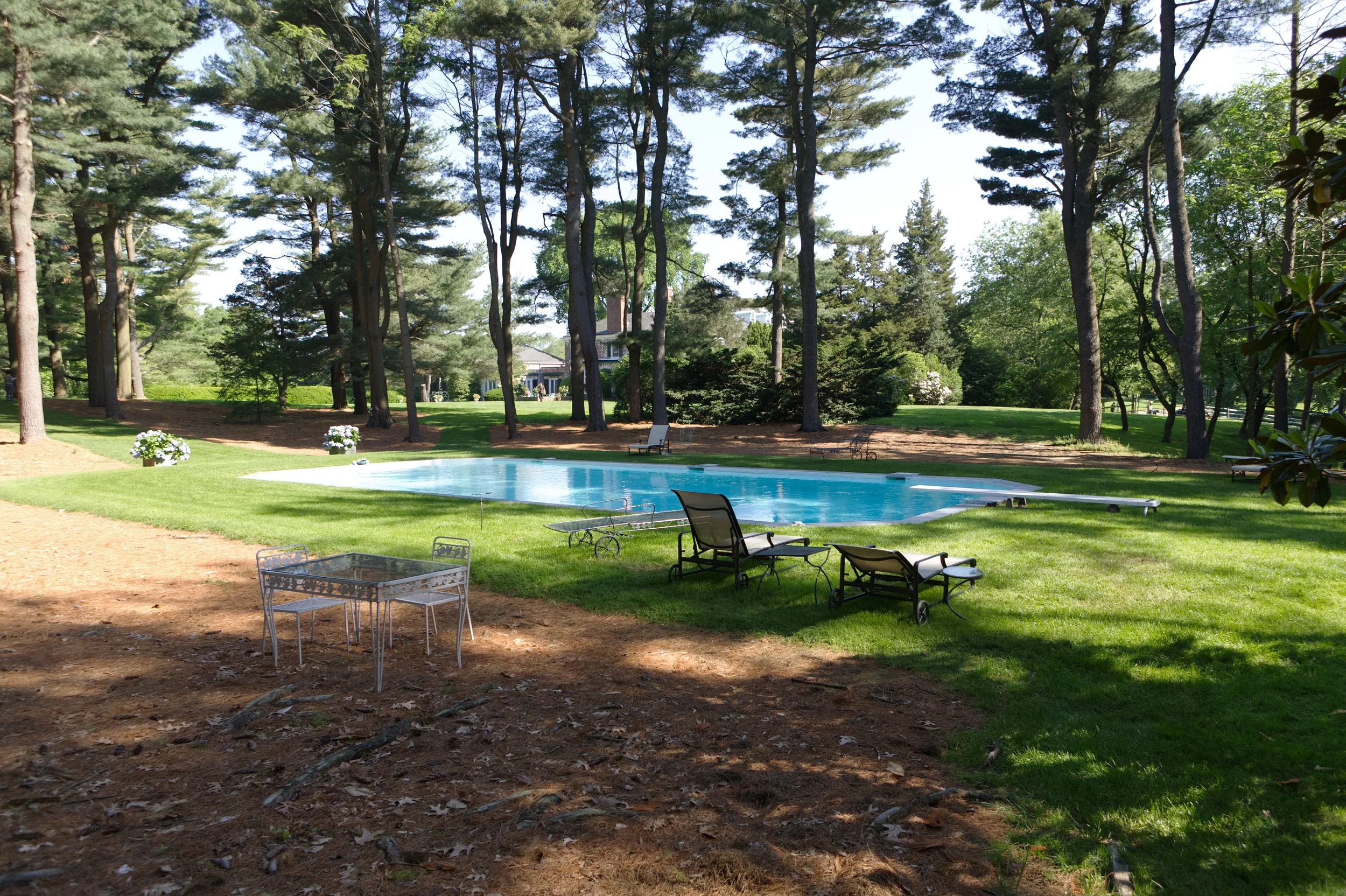 A backyard with a swimming pool surrounded by green grass and large pine trees. There are outdoor lounge chairs and a small table on the lawn, with more chairs beside the pool. In the background, house with a porch is visible among the trees.