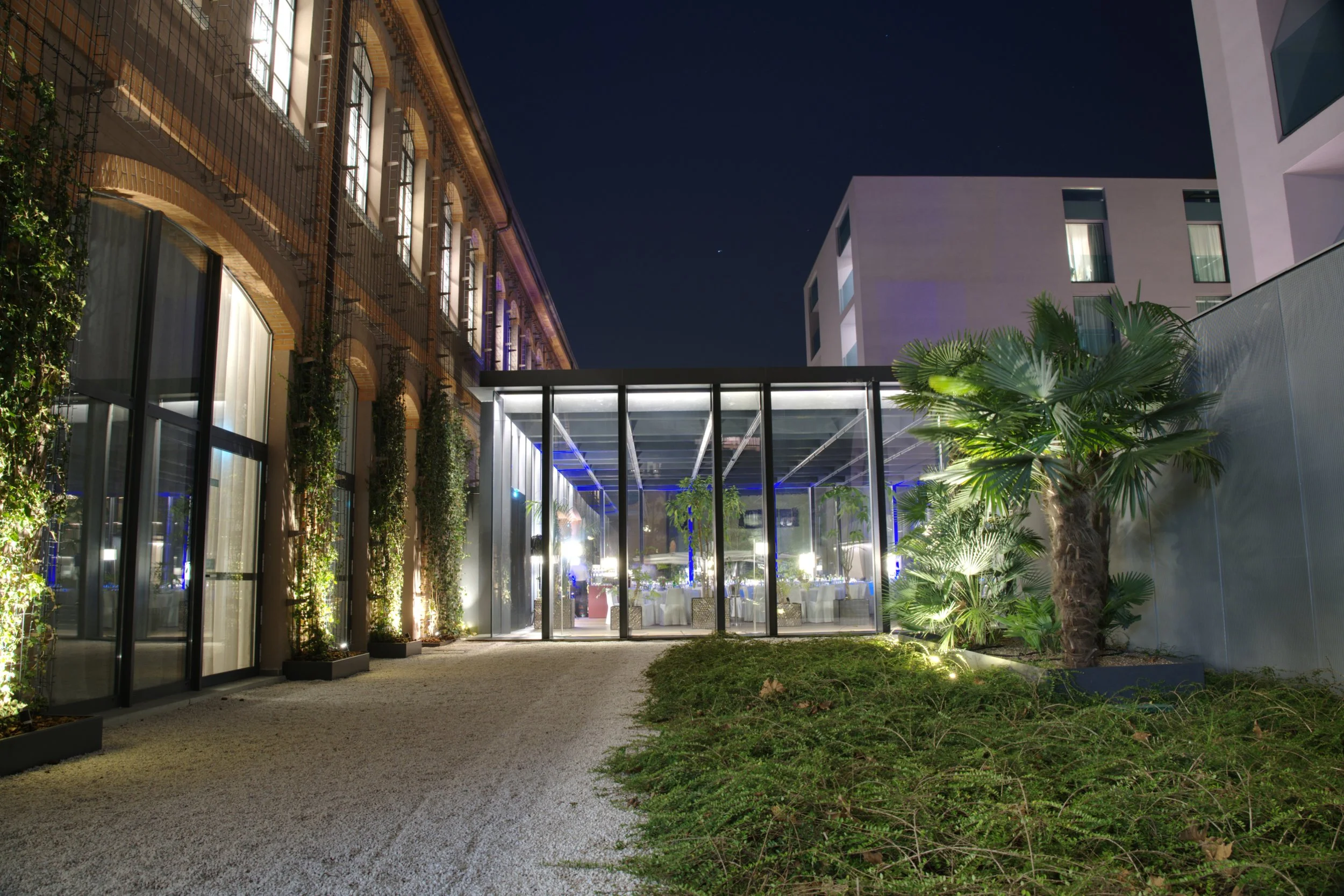 Outdoor view of a modern building with lit glass walls and greenery, including a large palm tree, at night.