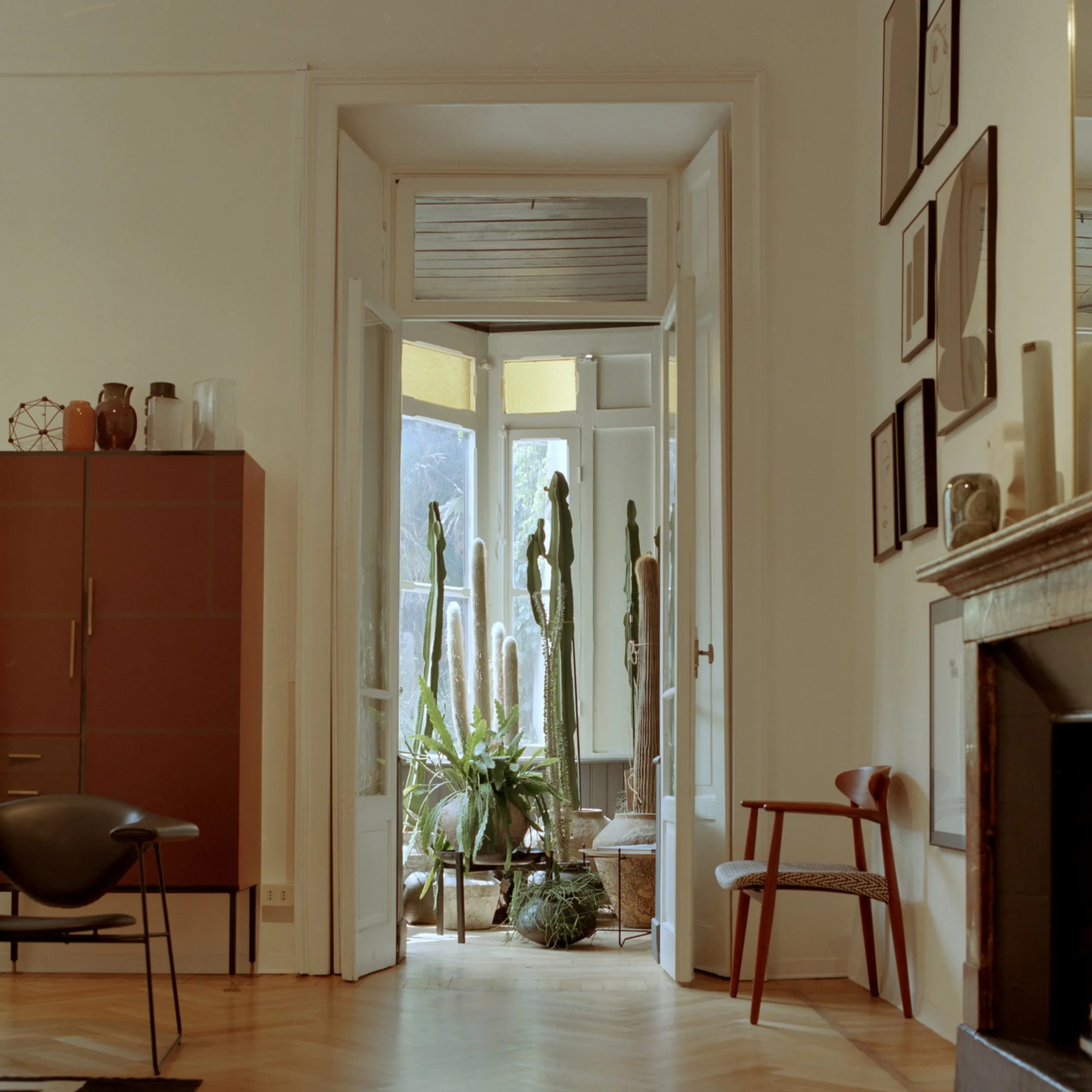 Interior view of a cozy living space with wooden flooring, displaying a corridor with a door leading outside, framed pictures on the wall, and a variety of chairs including wicker and wooden styles, with a large potted cactus plant near the window.